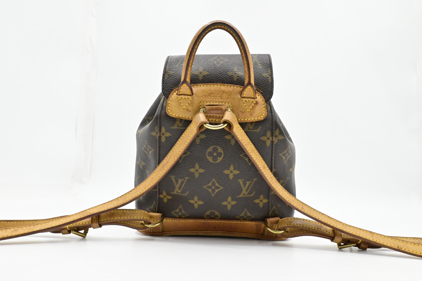 Louis Vuitton Montsouris PM in Monogram Canvas