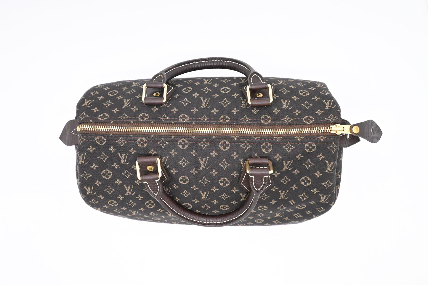 Louis Vuitton Speedy 30 in Fusain Minilin Canvas
