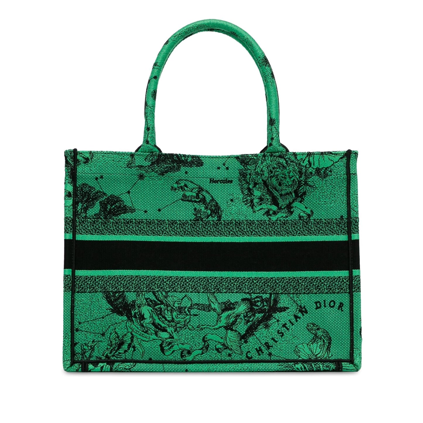 Dior Medium Embroidered Canvas Book Tote (SHG-zoAytt)