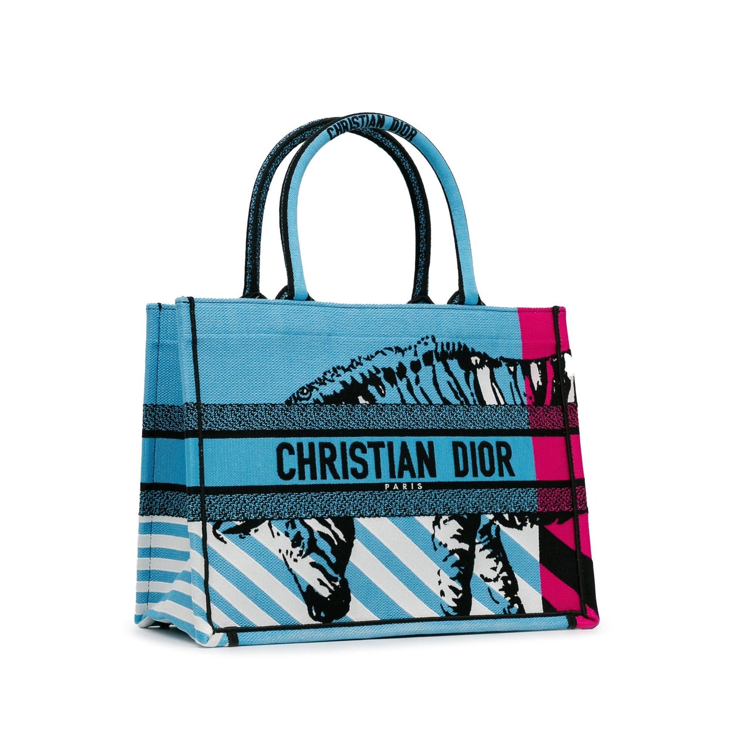 Dior Medium Embroidered Canvas Zebra D Jungle Pop Book Tote