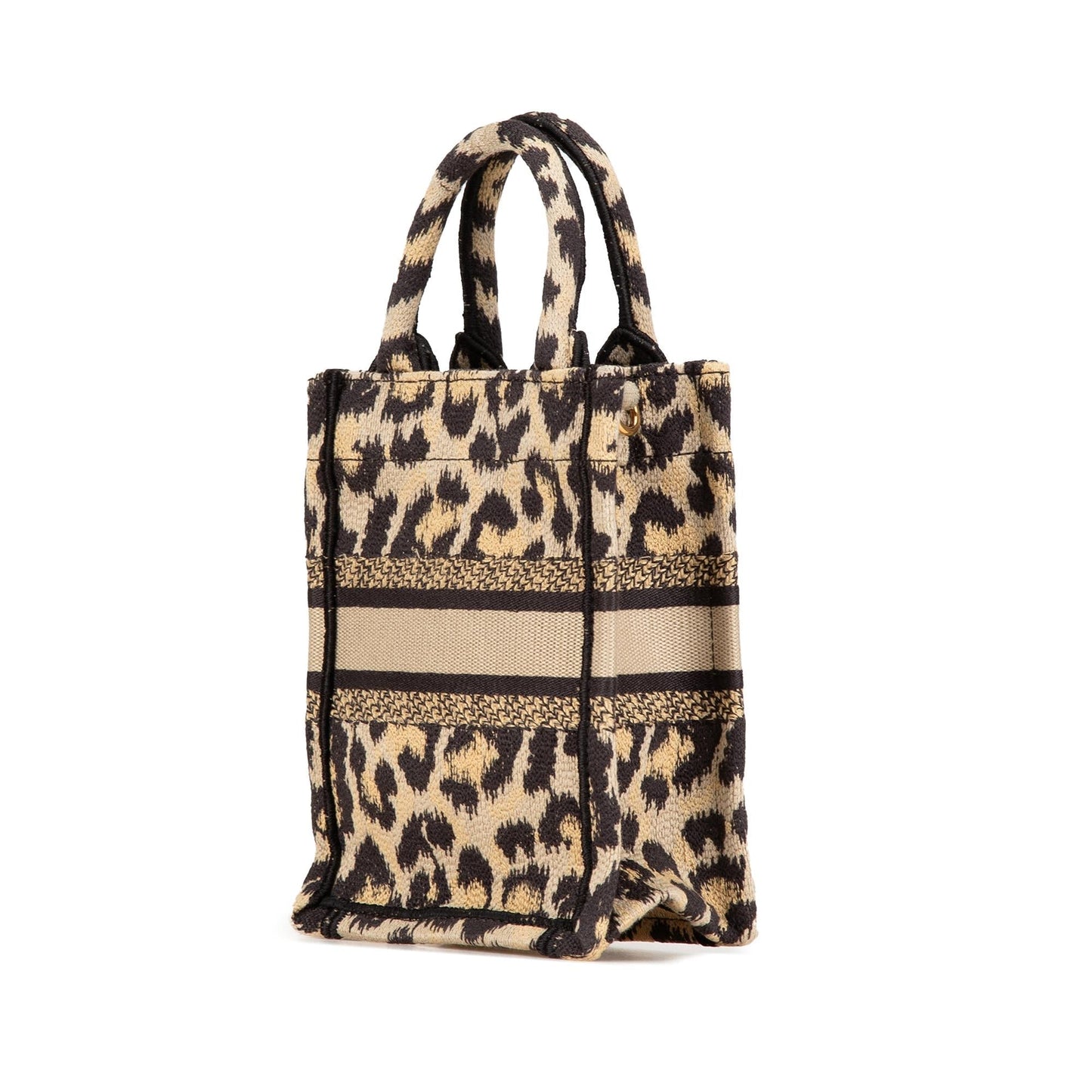 Dior Mini Canvas Mizza Vertical Book Tote