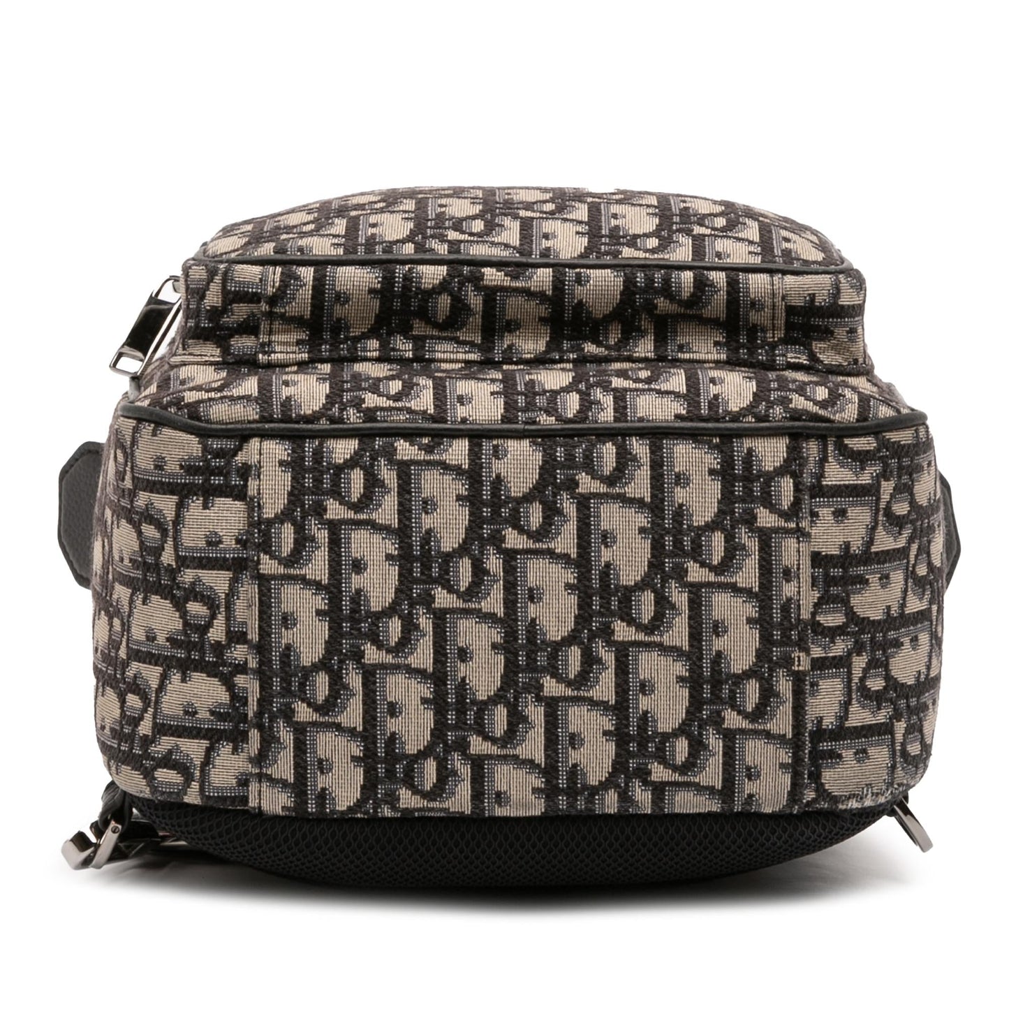 Dior Mini Oblique Canvas Rider Sling Bag