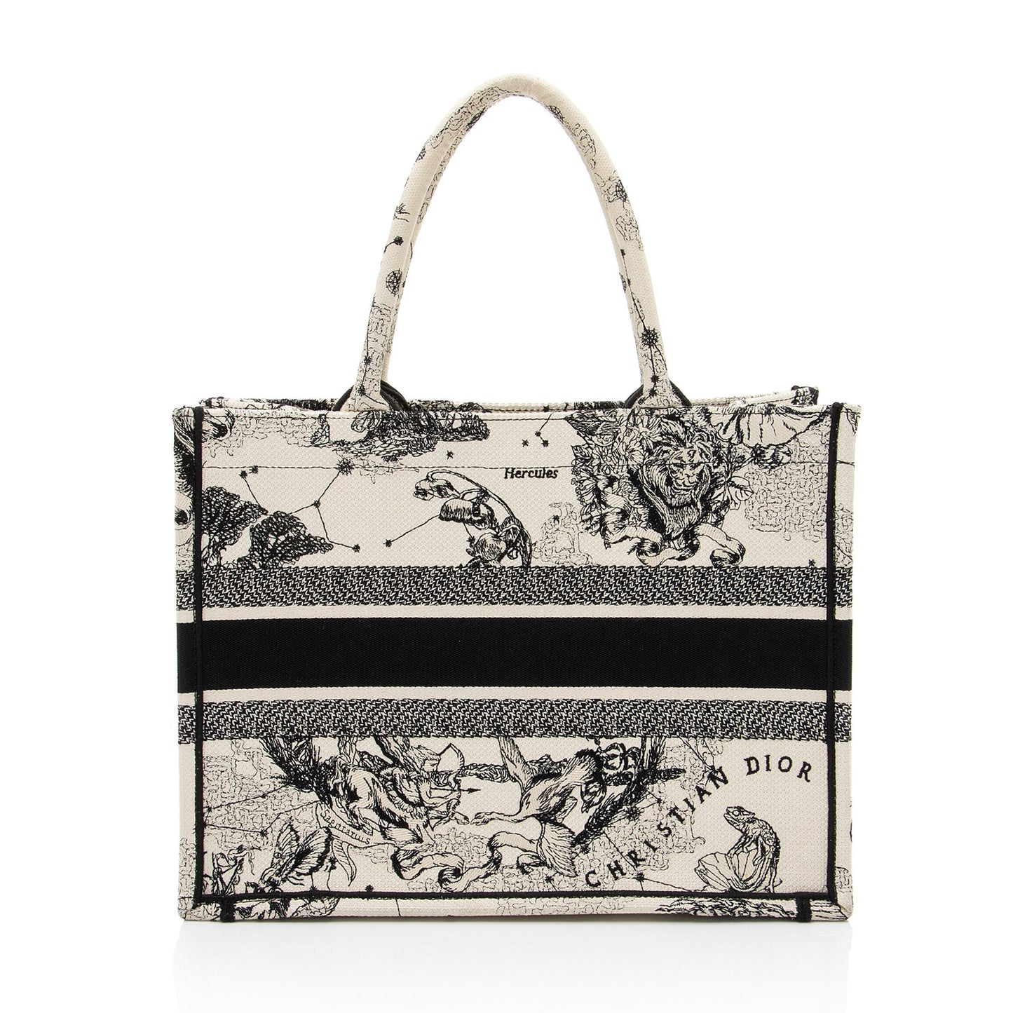 Dior Zodiac Toile De Jouy Medium Book Tote