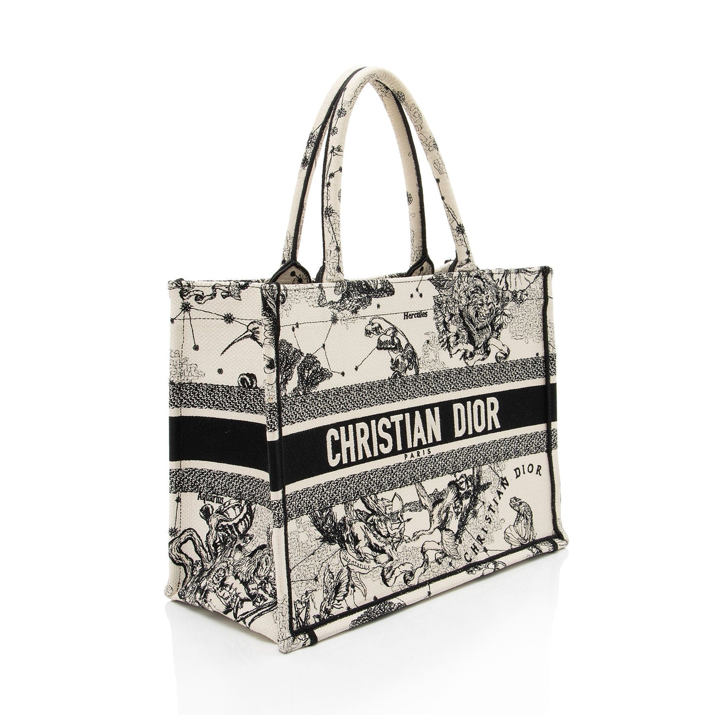 Dior Zodiac Toile De Jouy Medium Book Tote