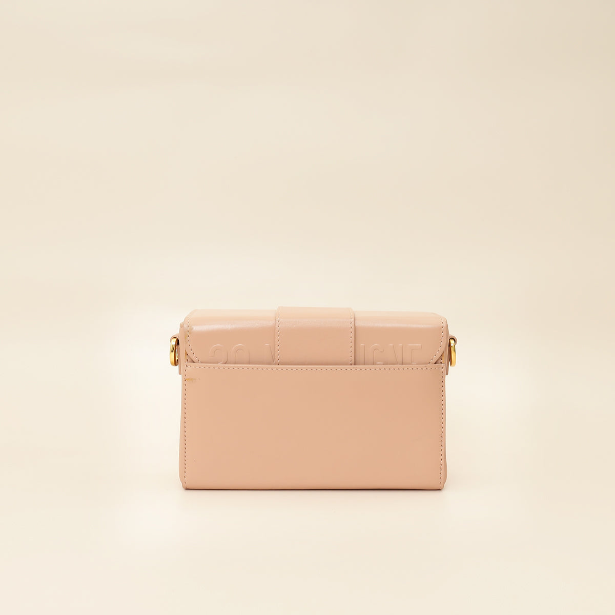 Christian Dior Nude 30 Montaigne Box Bag