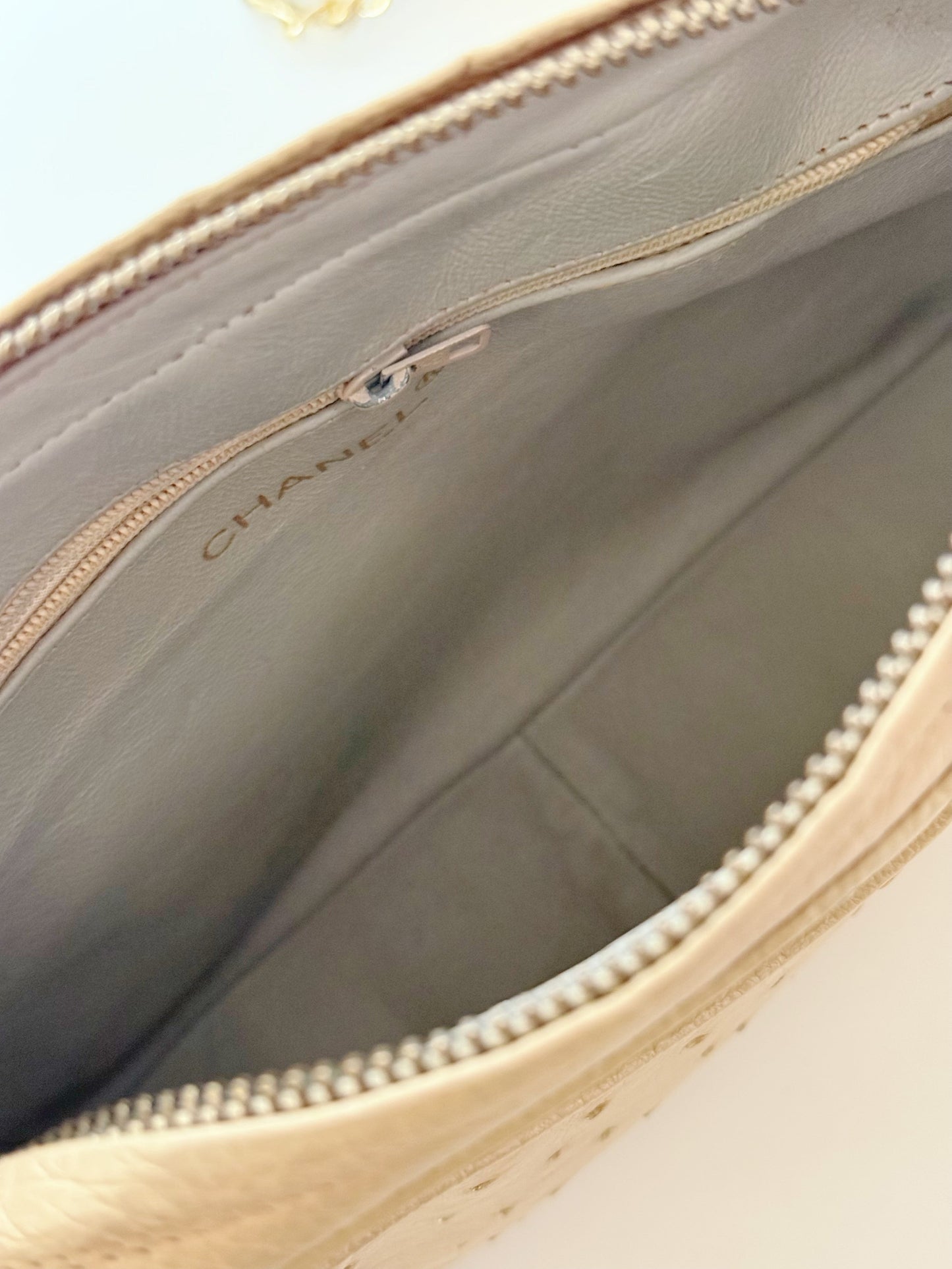 Chanel  Ostrich Camera Bag