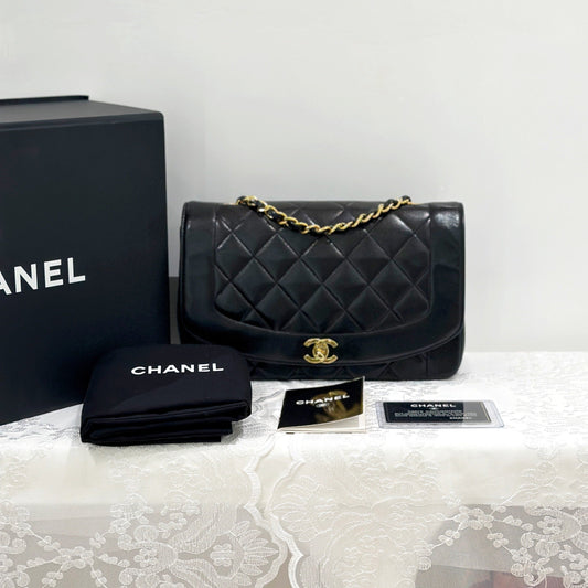 Chanel Diana Handbag Bag - Ewore Bags