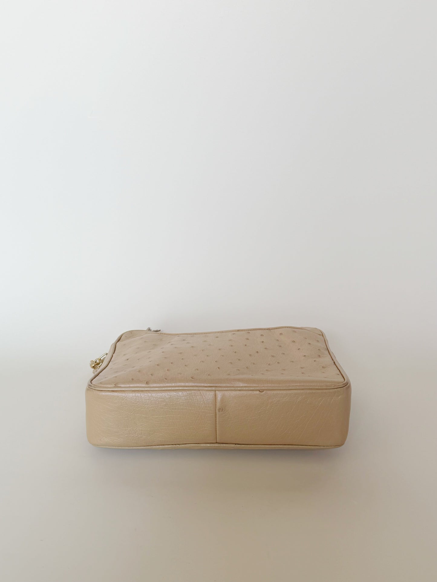 Chanel  Ostrich Camera Bag