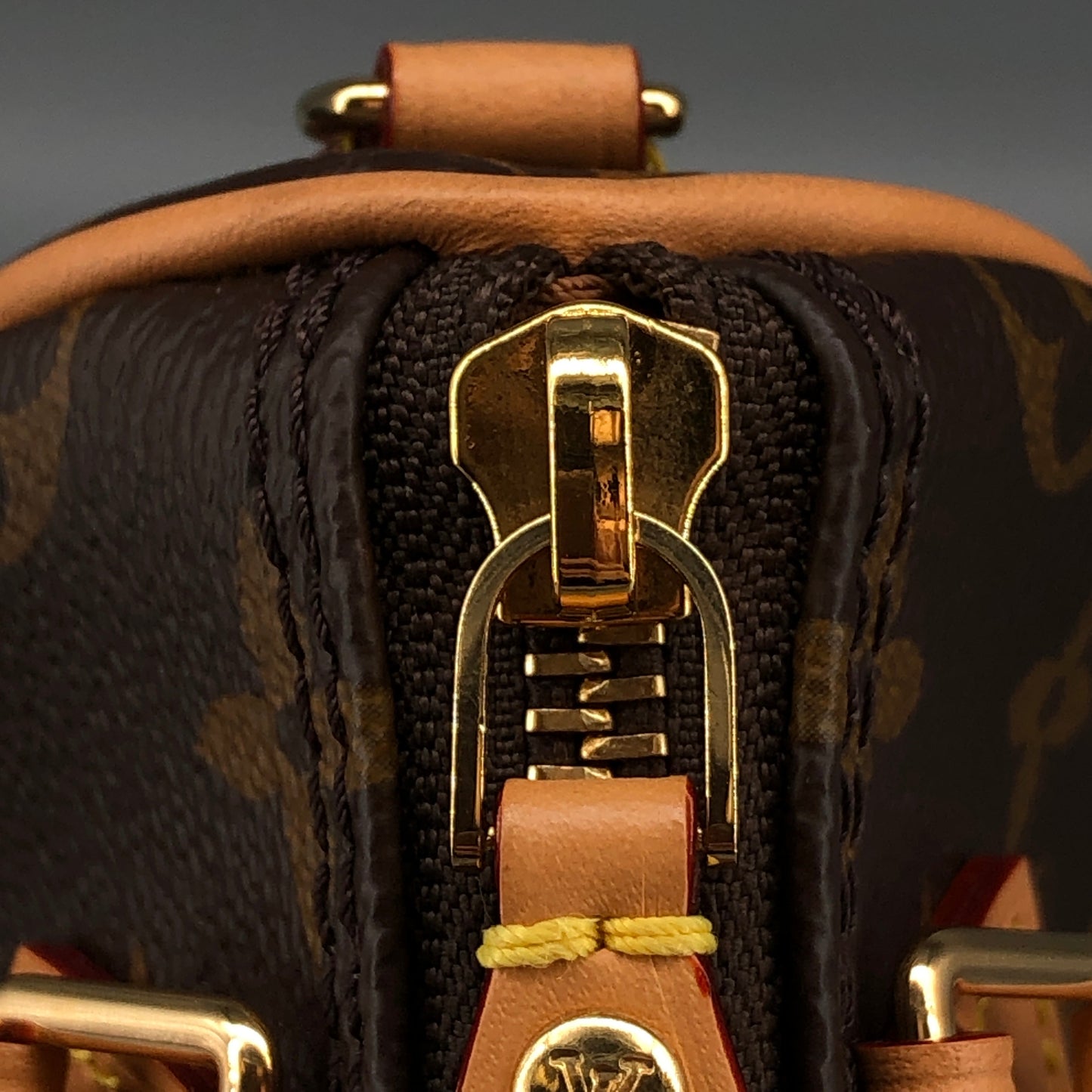 Louis Vuitton Nano Brown
