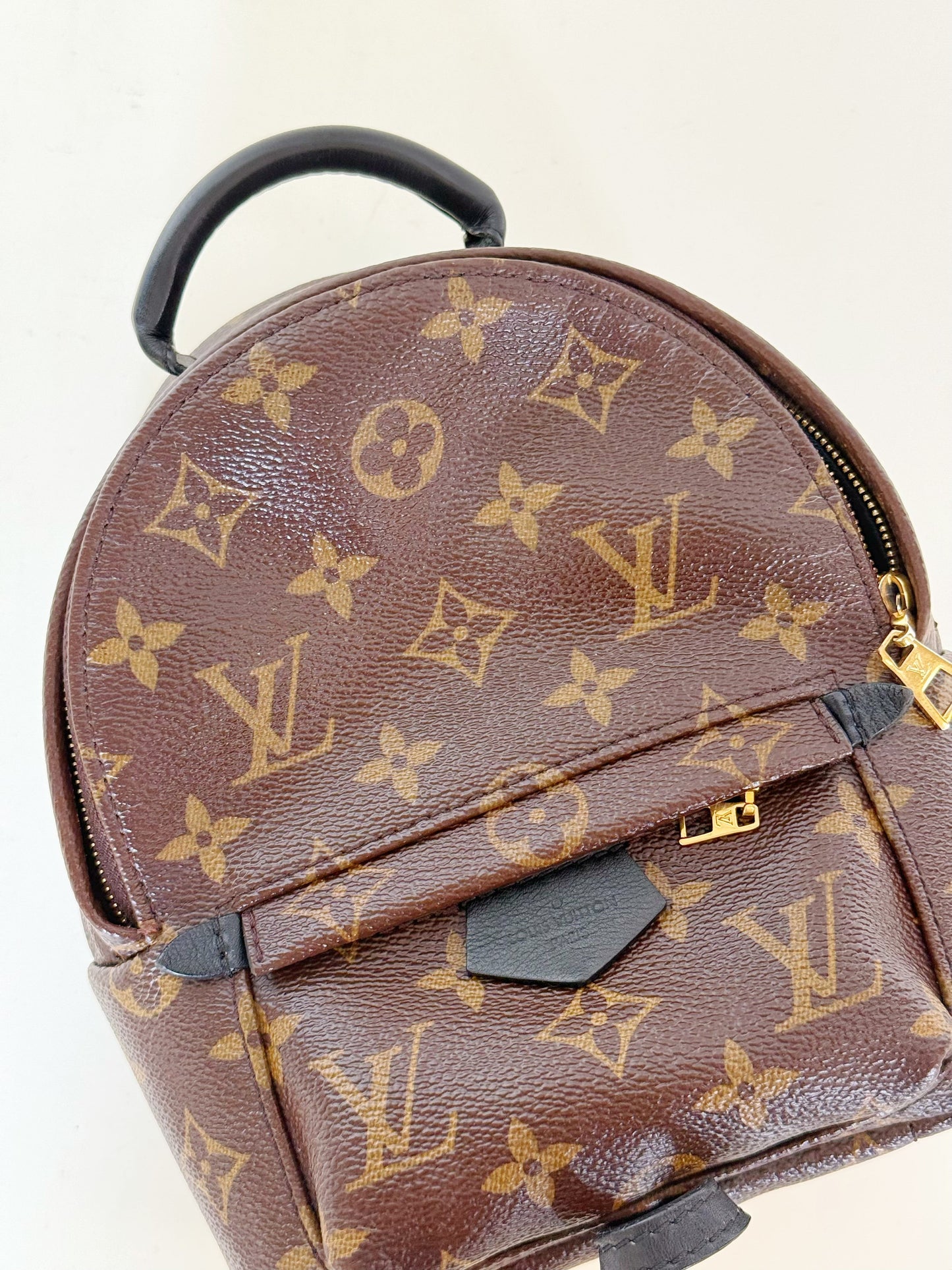 Louis Vuitton Monogram Palm Springs Backpack Mini