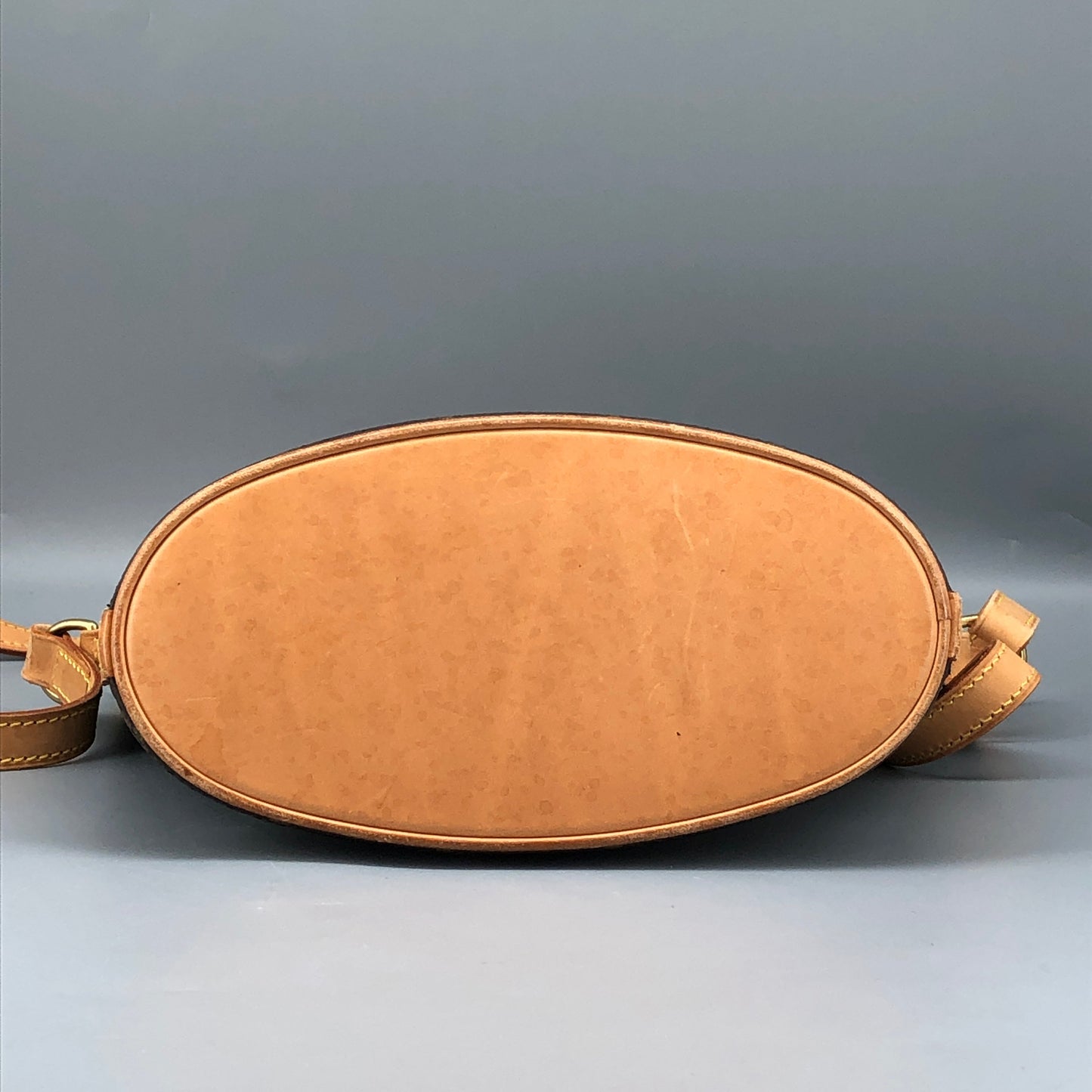 Louis Vuitton Brown Monogram Drouout Crossbody Bag