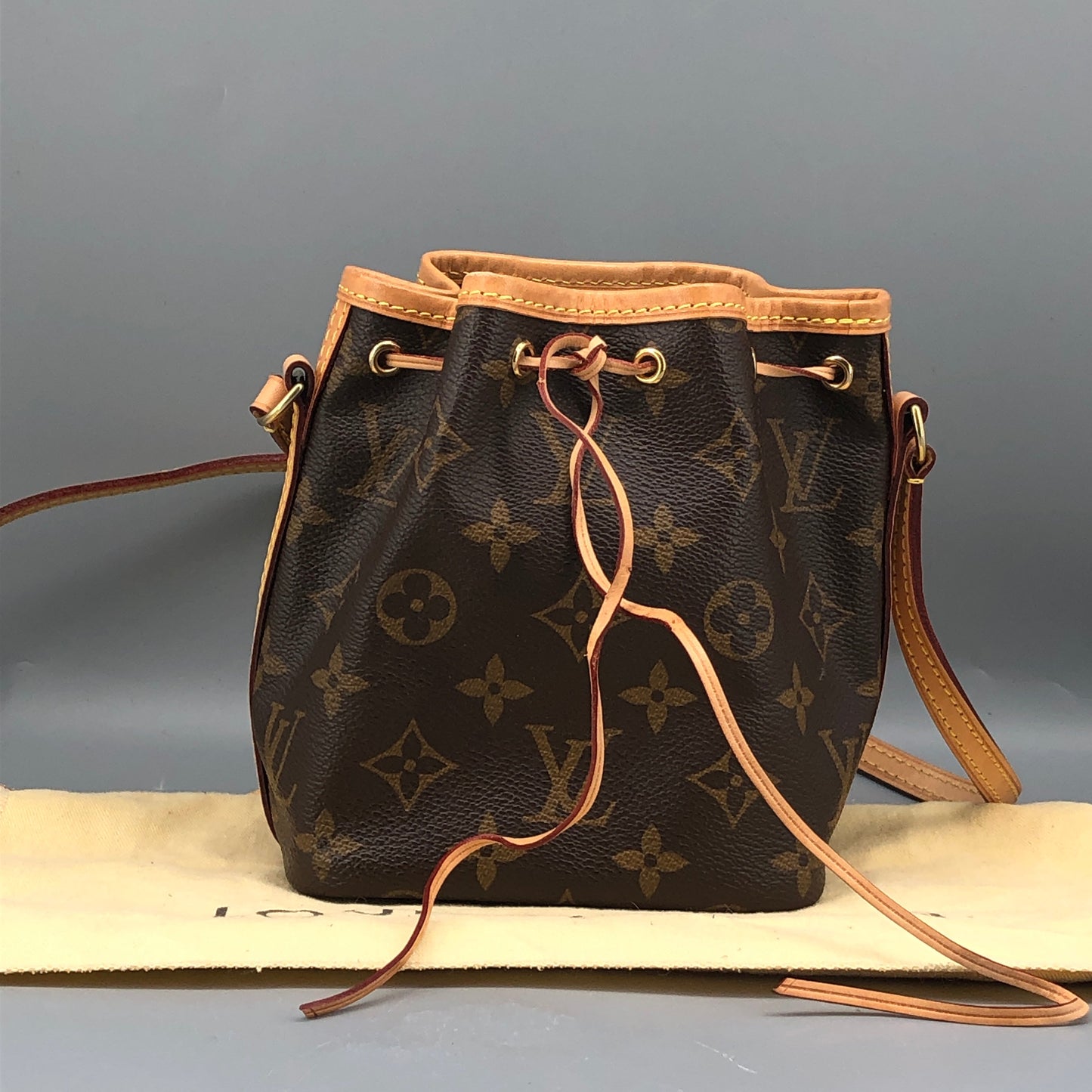 Louis Vuitton Classic Monogram Nano Noé Bucket Drawstring Crossbody Bag
