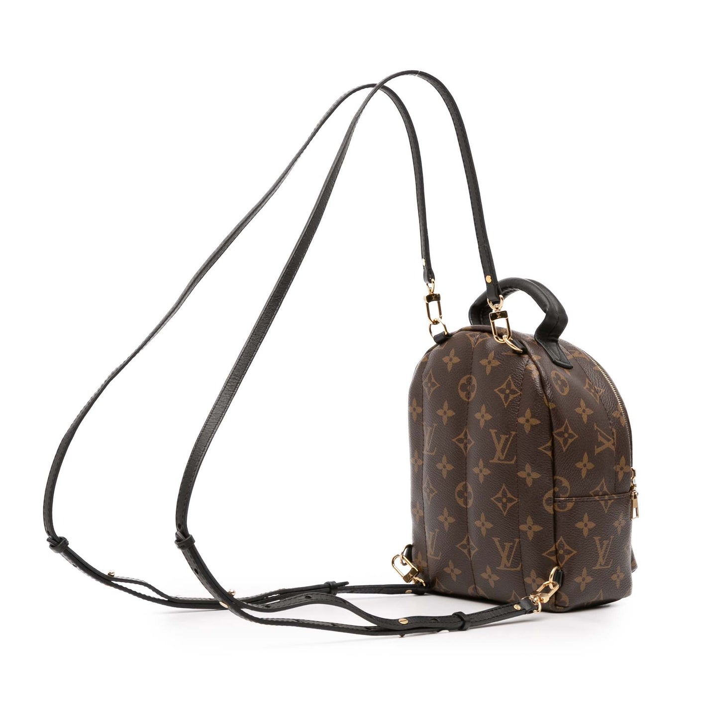 Brown Louis Vuitton Monogram Mini Palm Springs Backpack