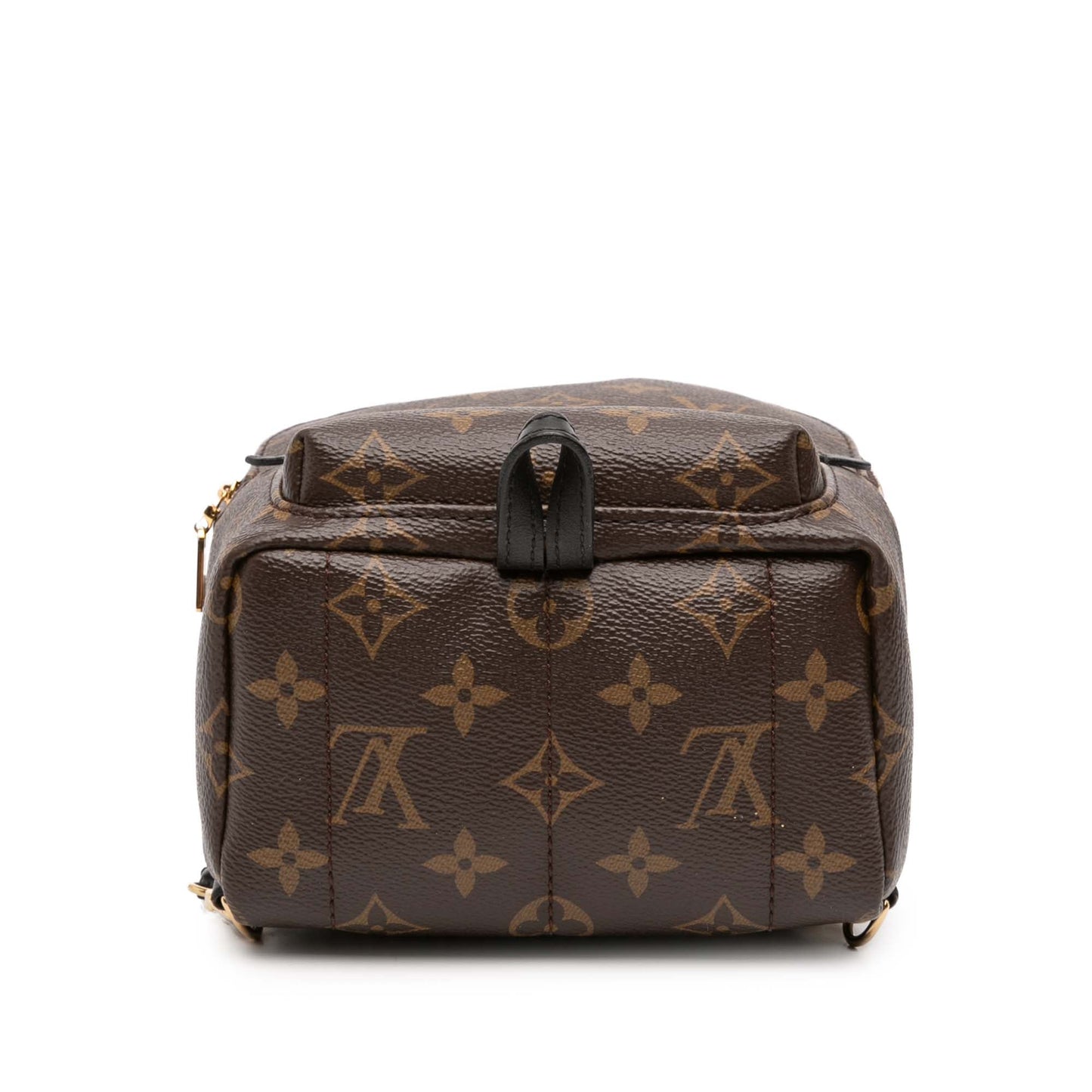 Brown Louis Vuitton Monogram Mini Palm Springs Backpack
