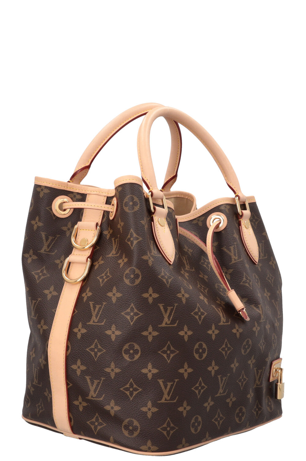 LOUIS VUITTON Eden Neo Shoulder Bag MNG