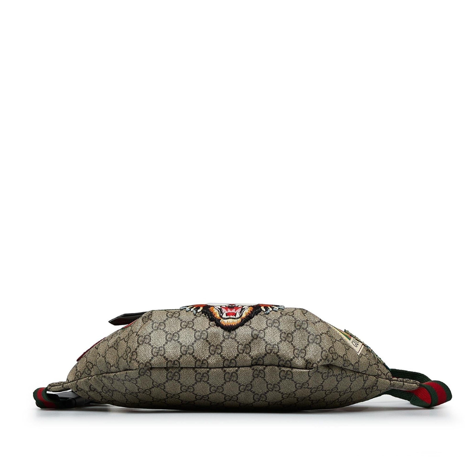 Gucci Canvas Shoulder Bag