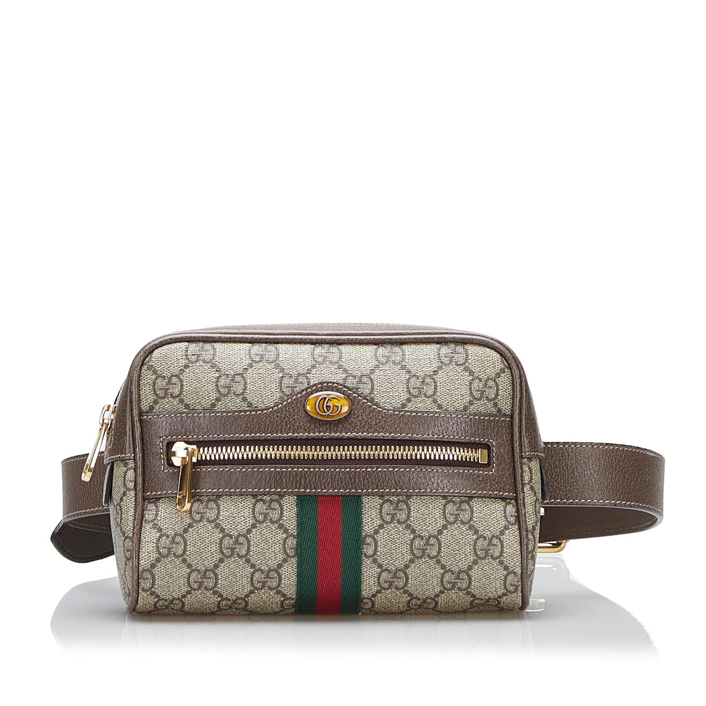 Gucci Canvas Shoulder Bag