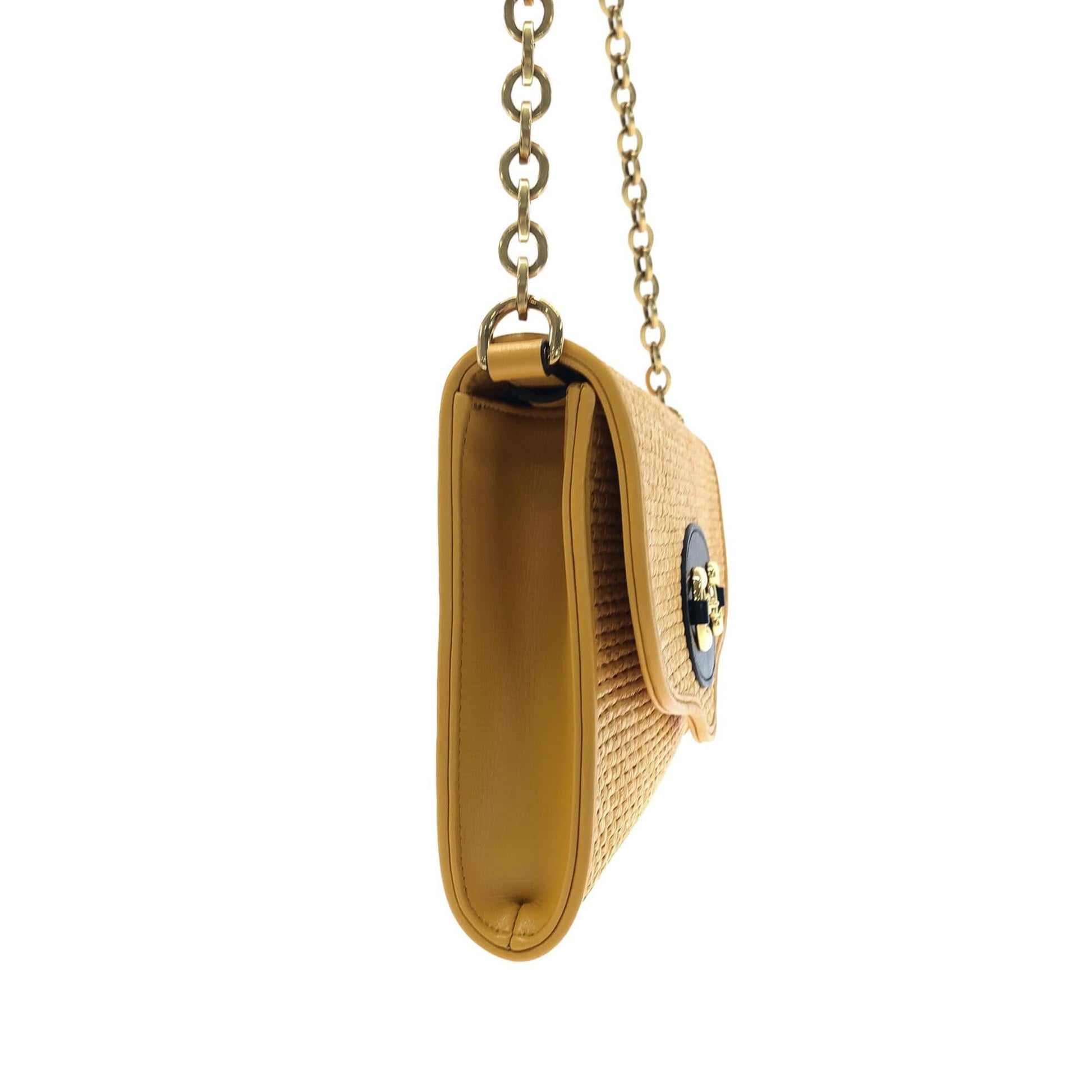 Gucci Chain Shoulder Bag