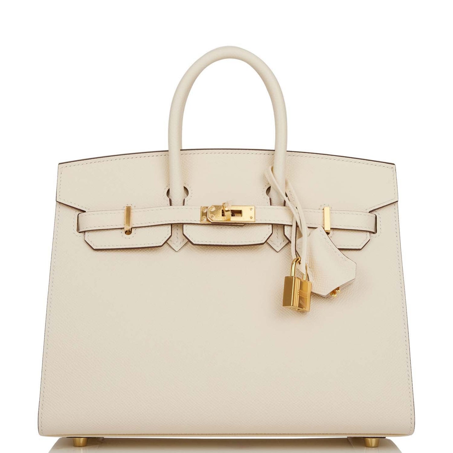 Hermes Birkin 25 Sellier Nata Epsom Gold Hardware