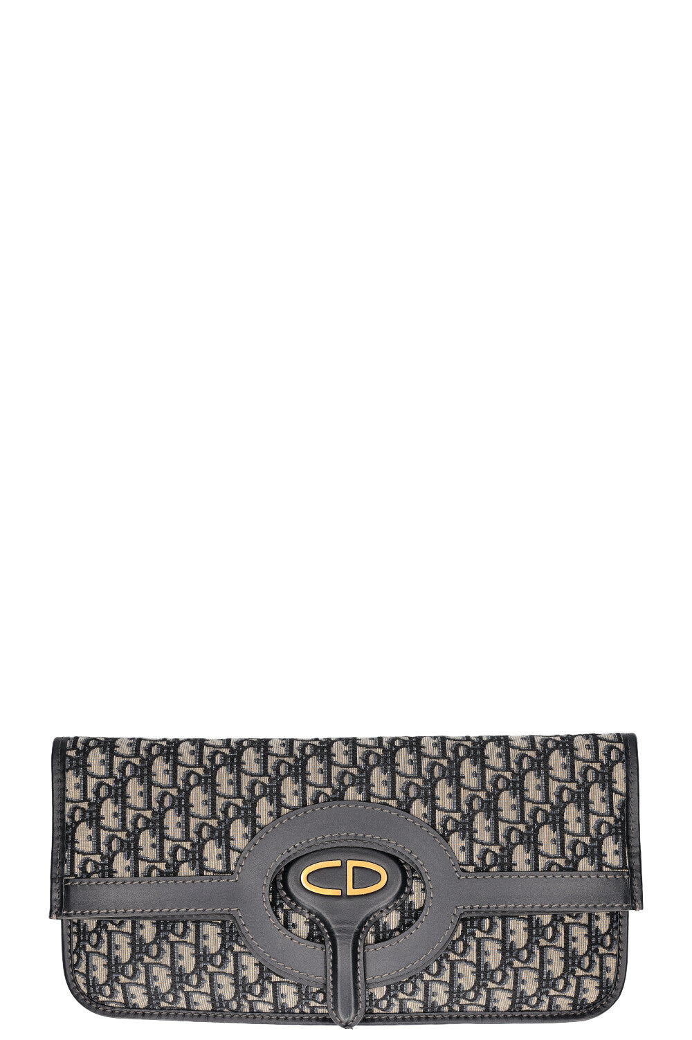 Dior Mini Canvas Tote
