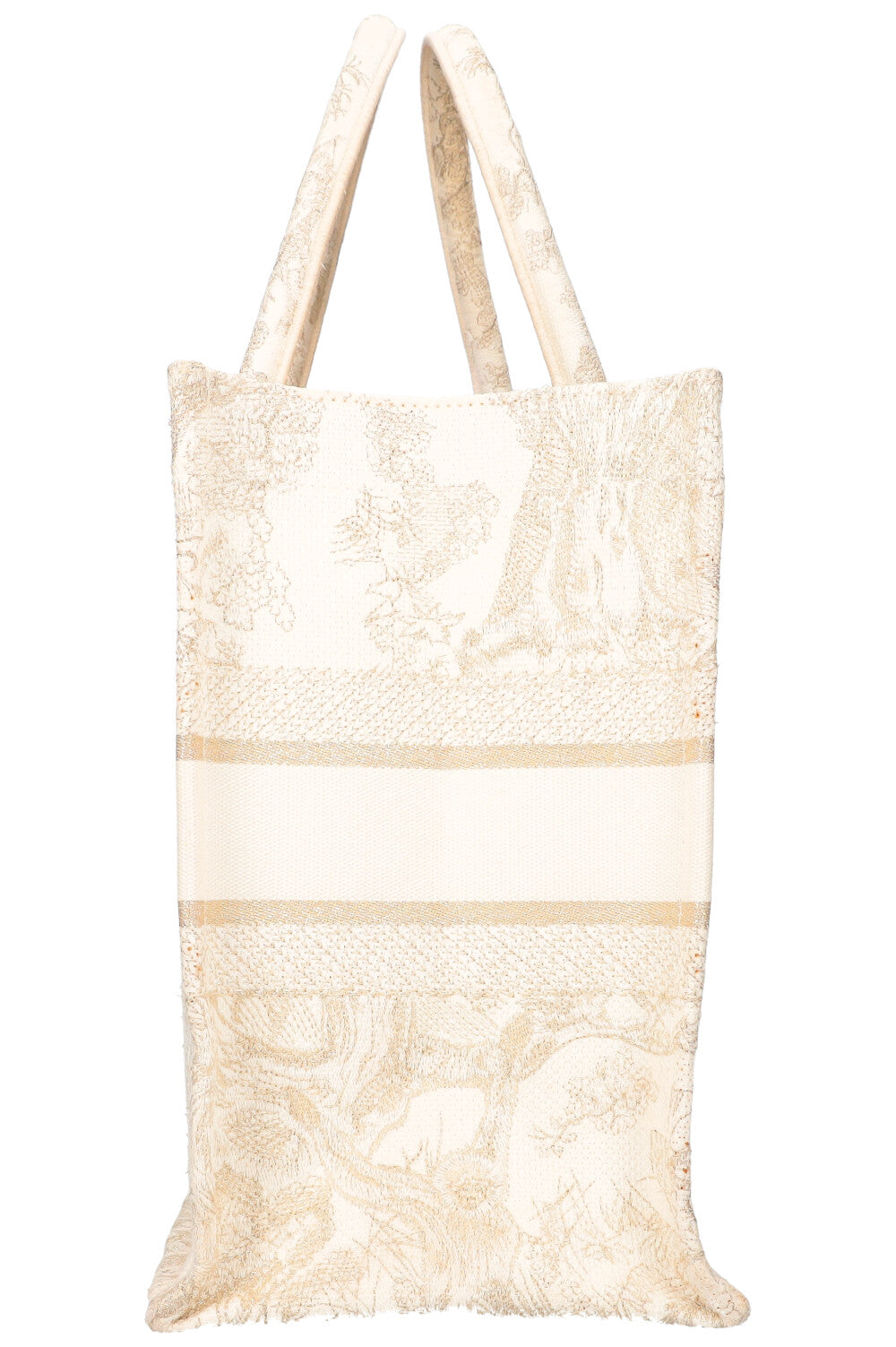 Dior Book Tote Mini Canvas Tote