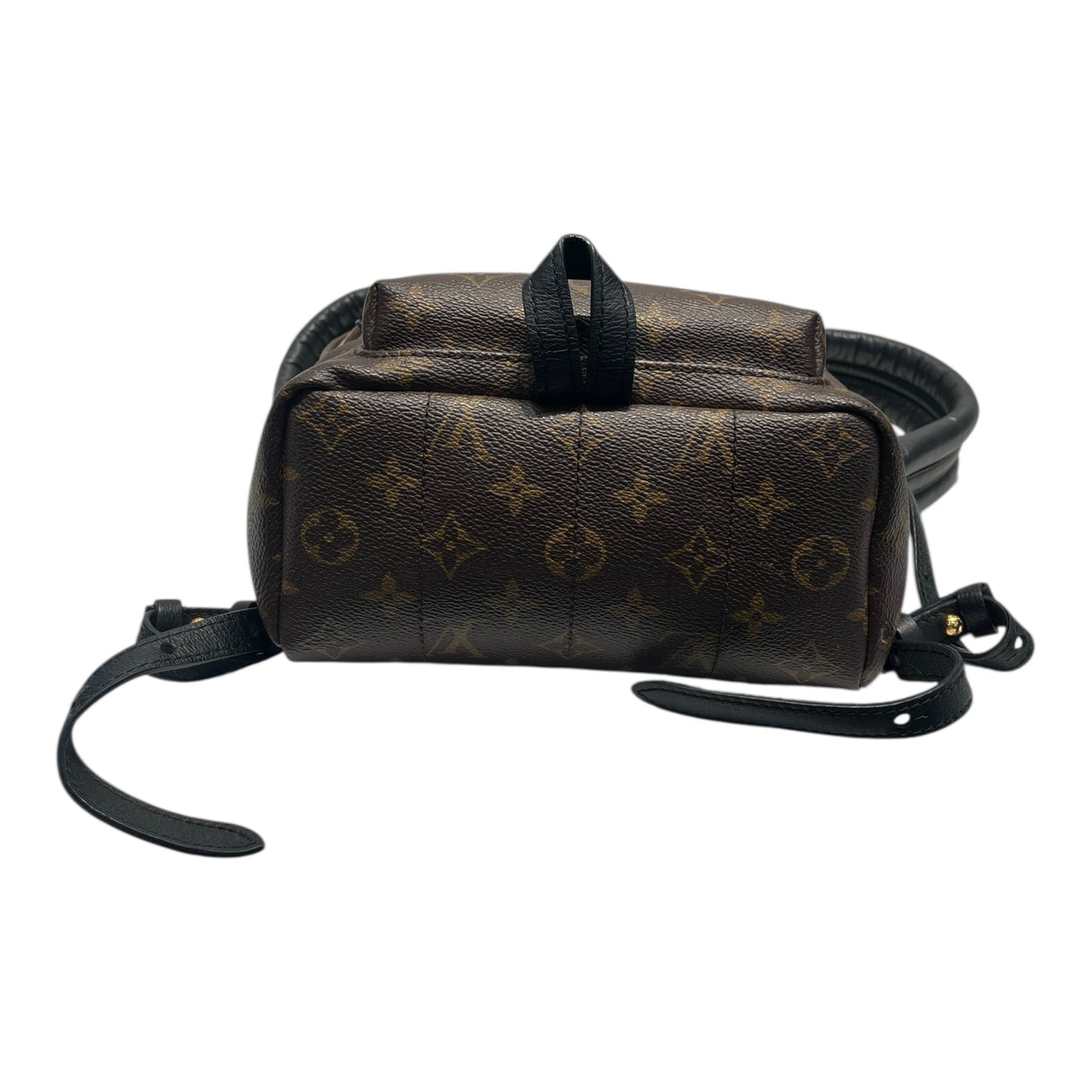 Louis Vuitton Backpack/Monogram/Leather/BRW/Palm Springs Mini Backpack