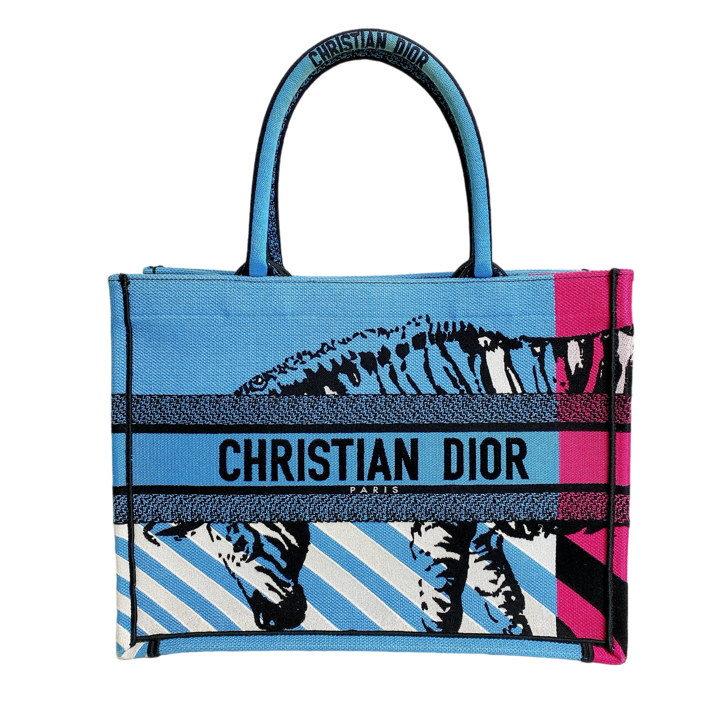 Dior Lou Book Tote Canvas Tote