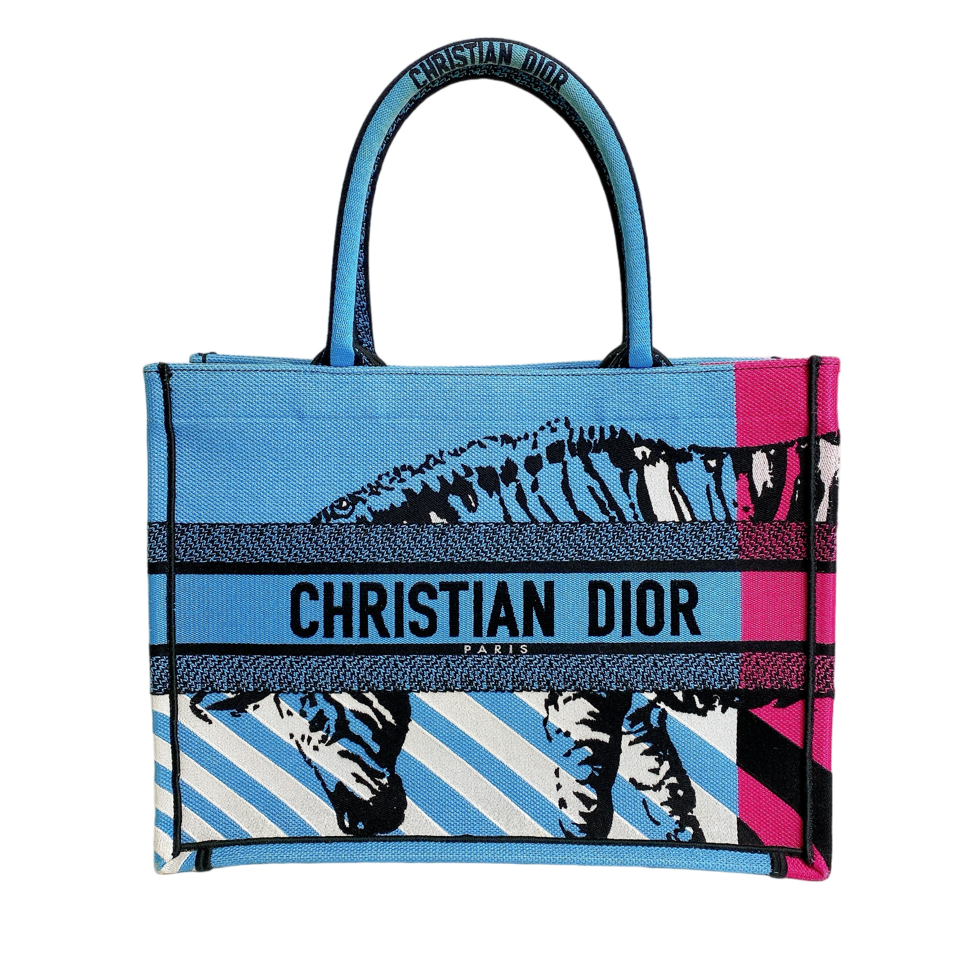 Dior Lou Book Tote Canvas Tote