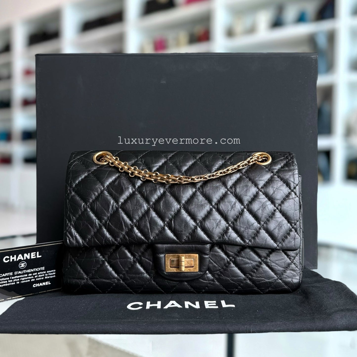 Chanel Small Handbag - EworeBags
