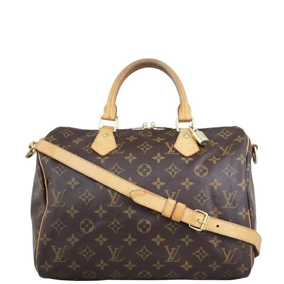 Louis Vuitton Monogram Bag