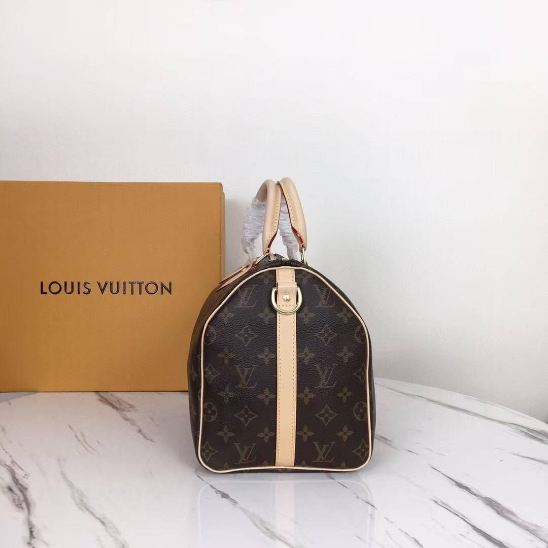 Louis Vuitton Monogram Bag