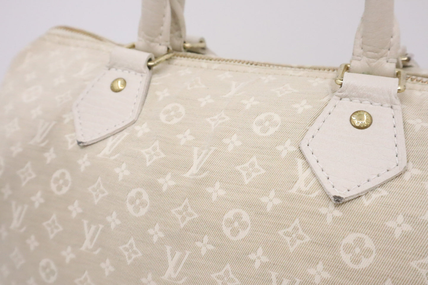 Louis Vuitton Speedy 30 in Dune Minilin Canvas
