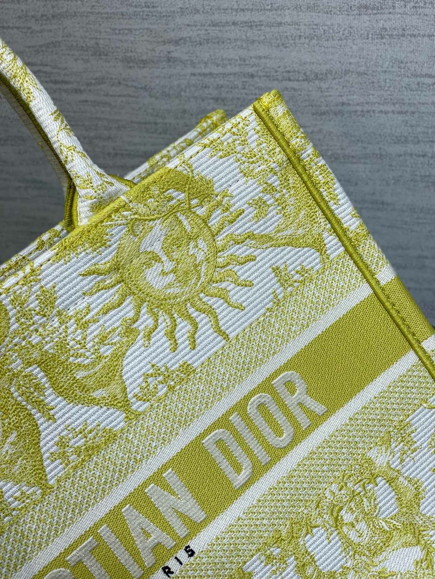 Dior Book Tote Tote