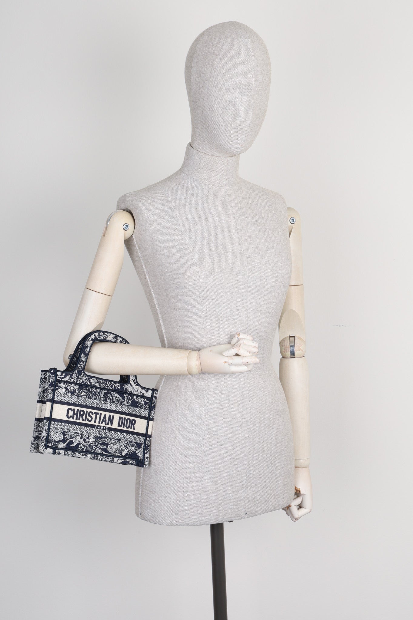Dior Book Tote Mini Canvas Tote