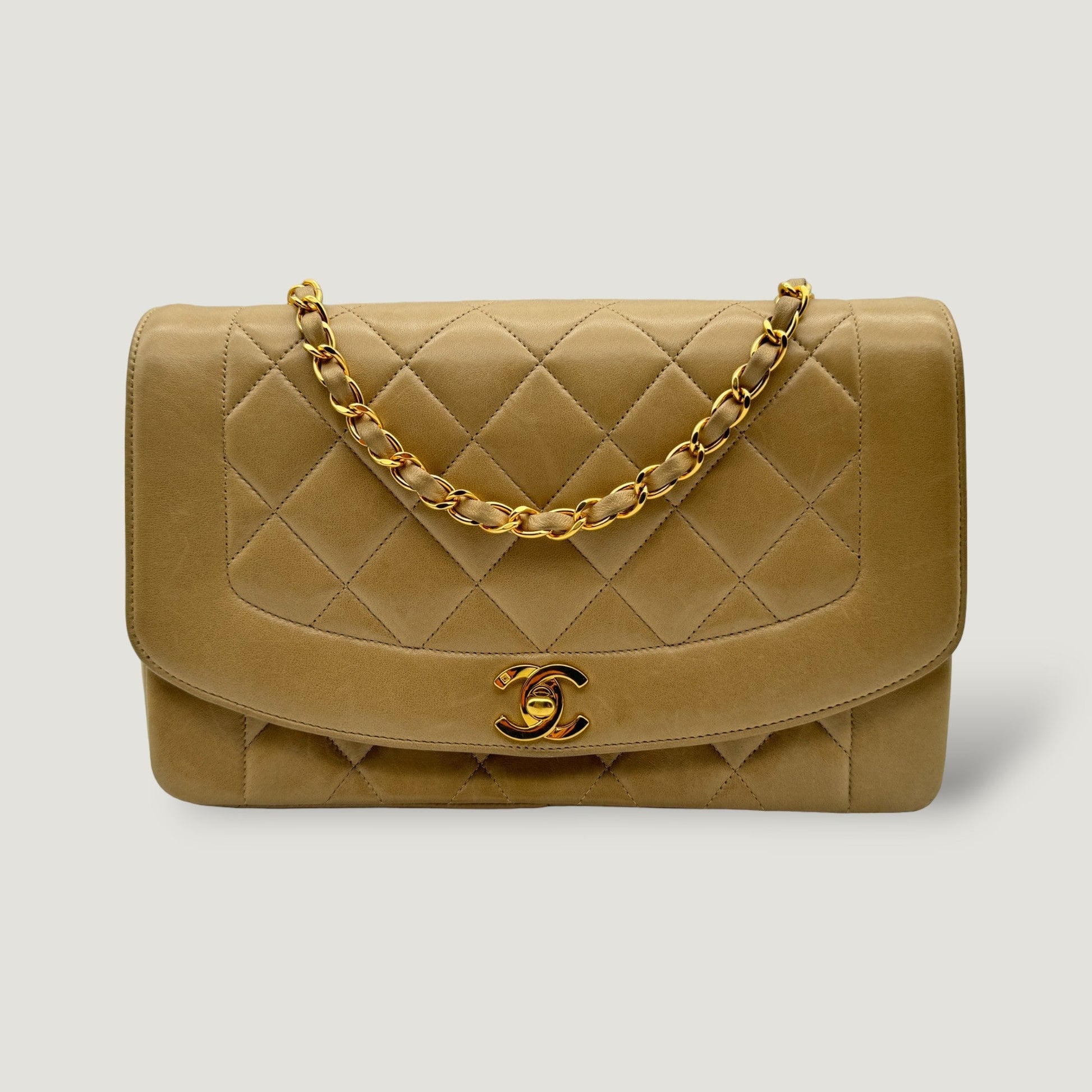 Chanel Diana Handbag Bag - Ewore Bags