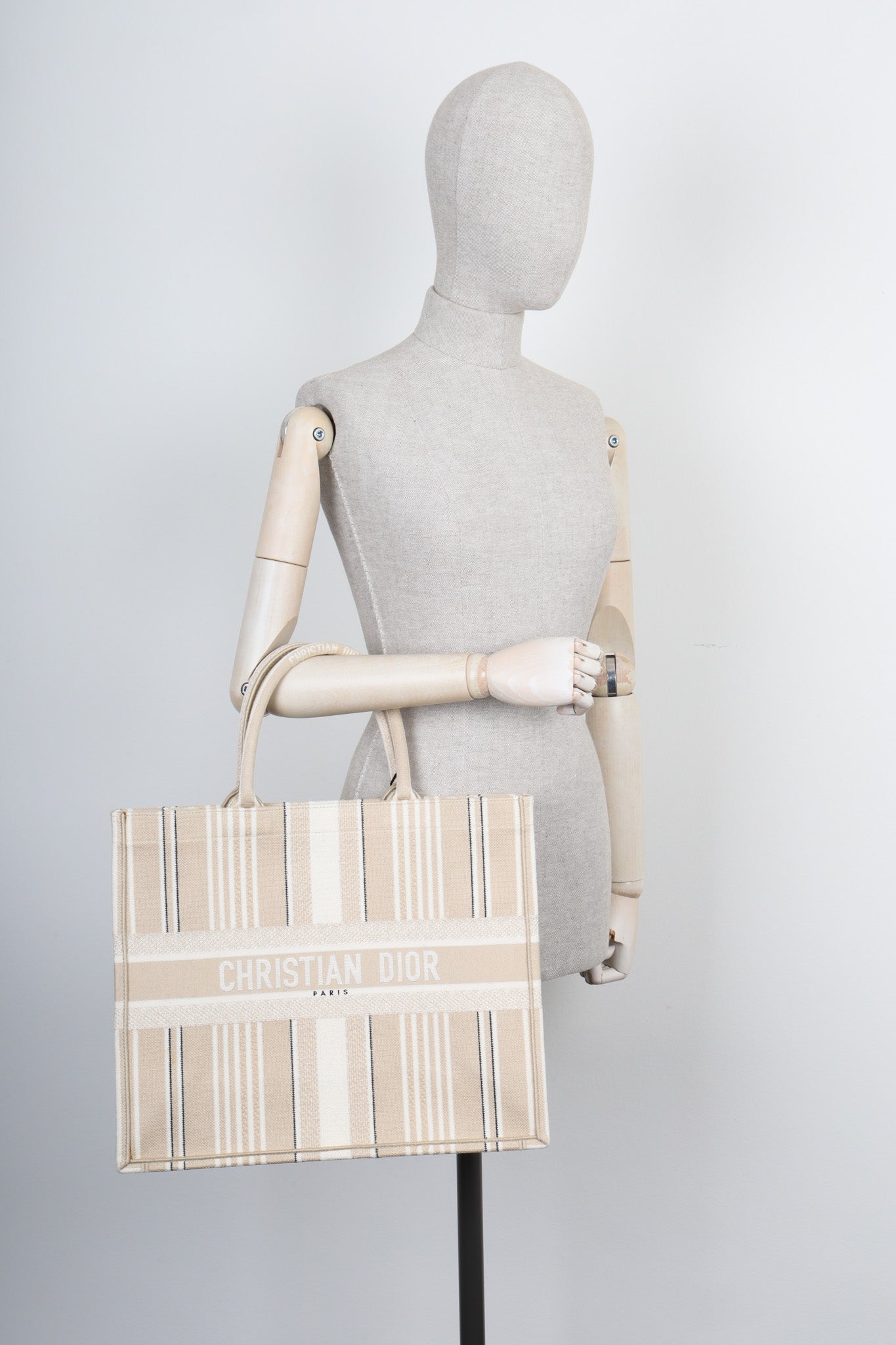 Dior Book Tote Mini Canvas Tote