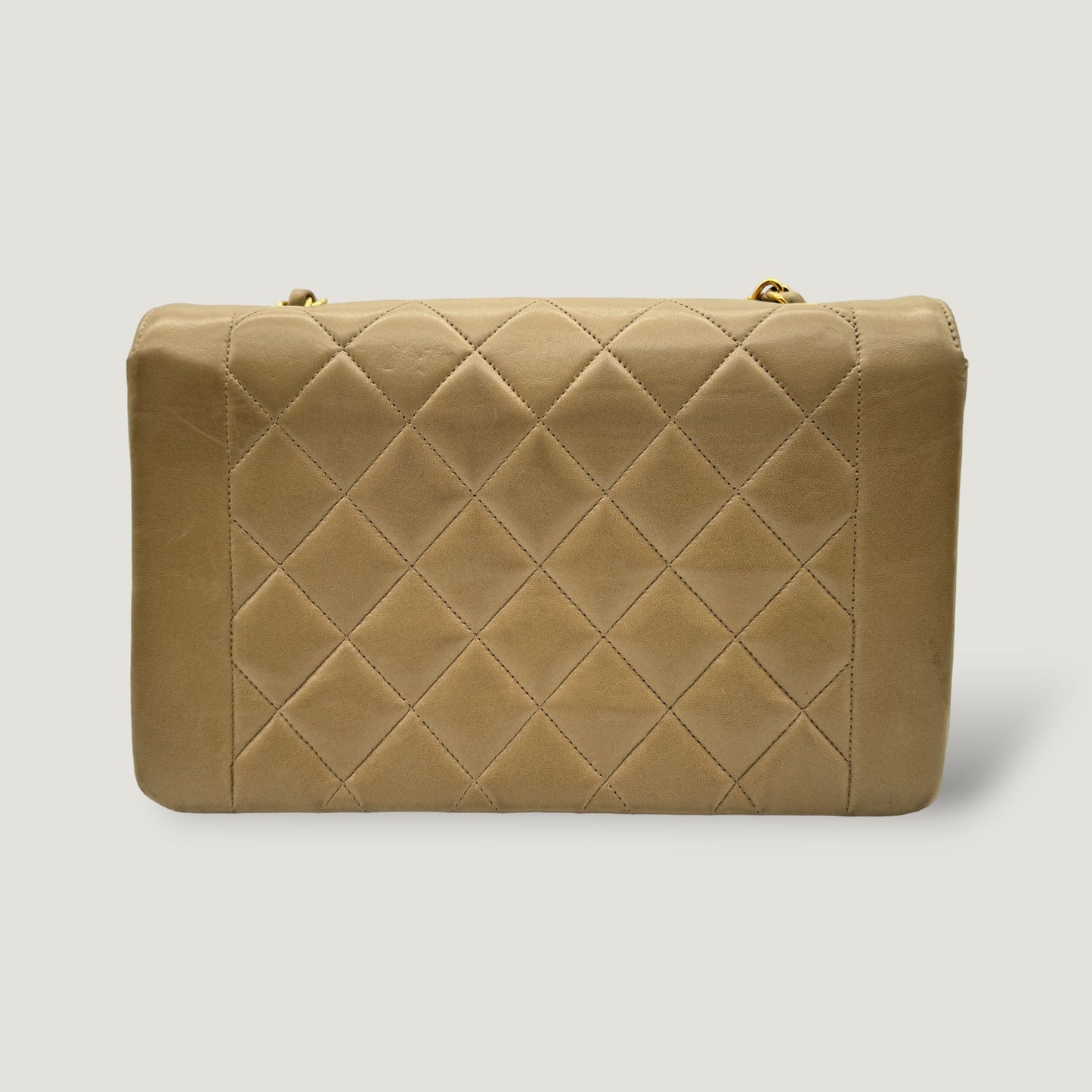 Chanel Diana Handbag Bag - Ewore Bags