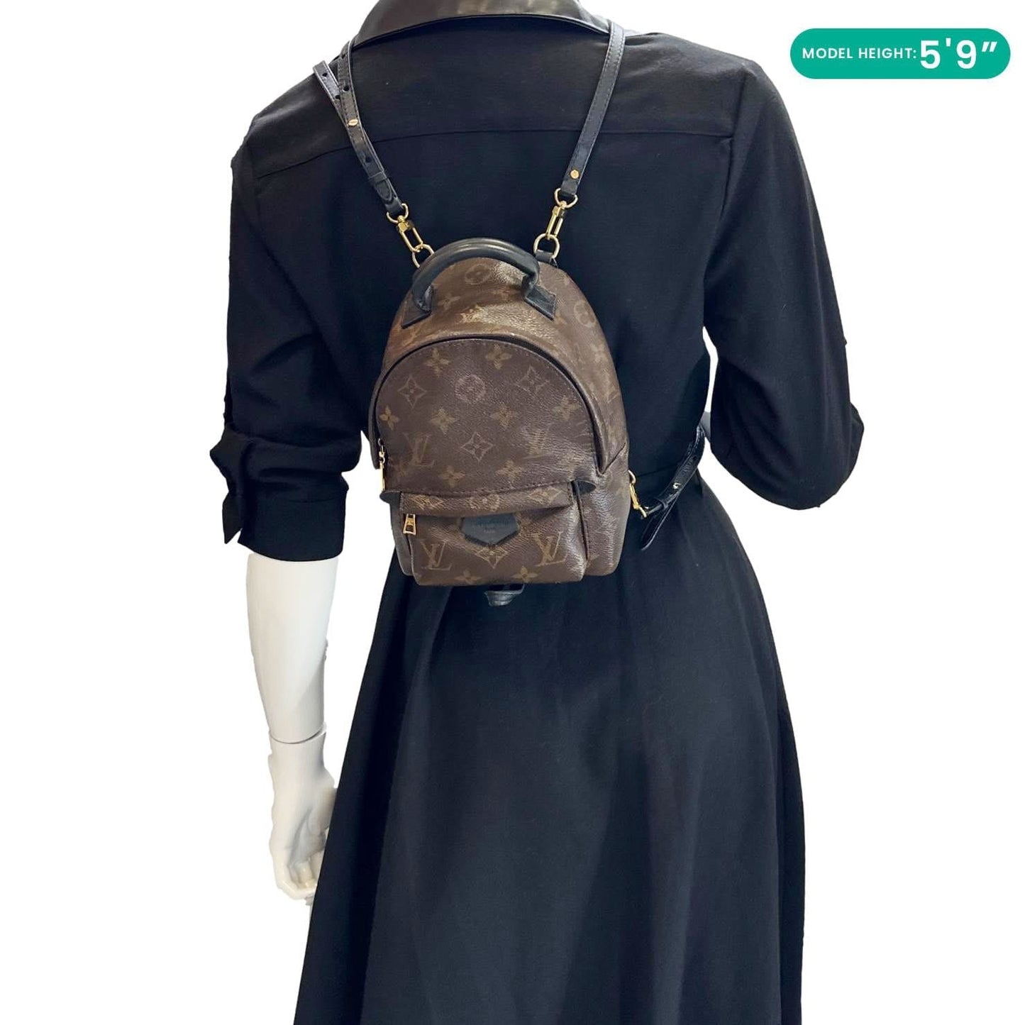 LOUIS VUITTON Palm Spring Mini Monogram Canvas Backpack Brown