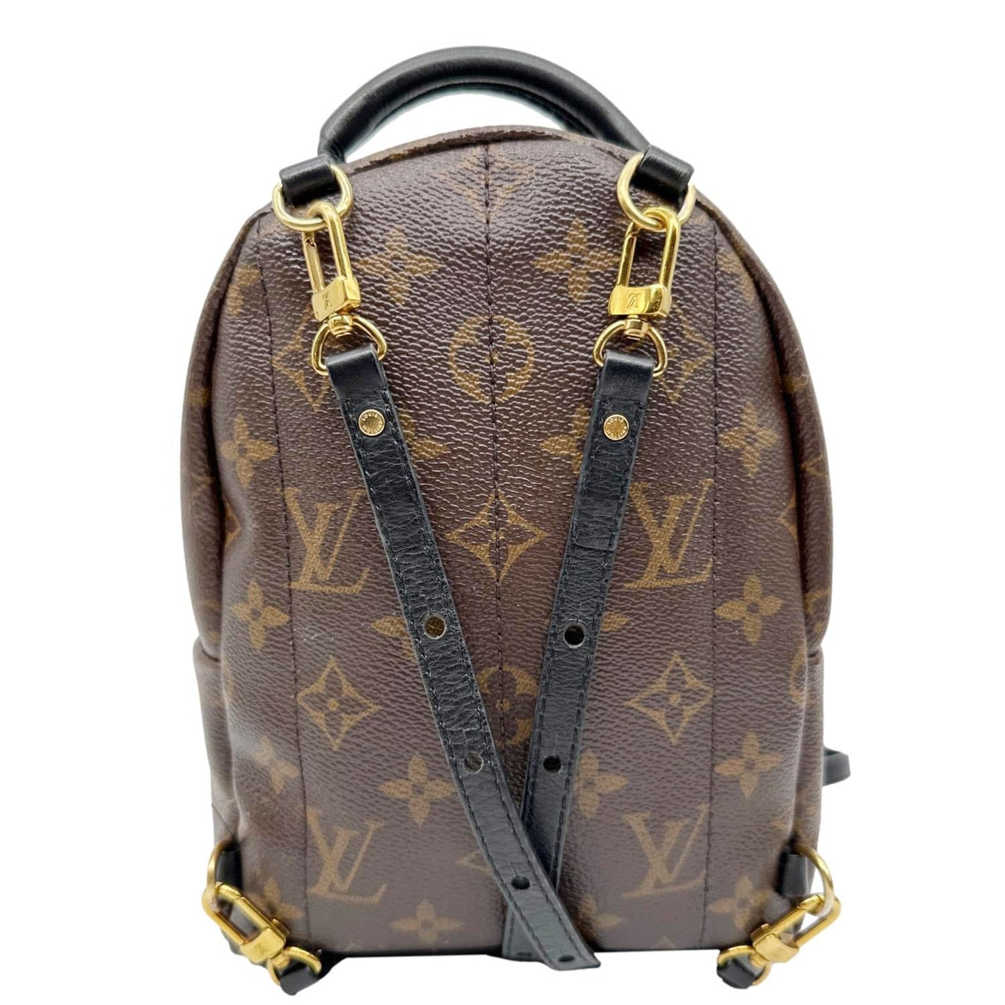 LOUIS VUITTON Palm Spring Mini Monogram Canvas Backpack Brown