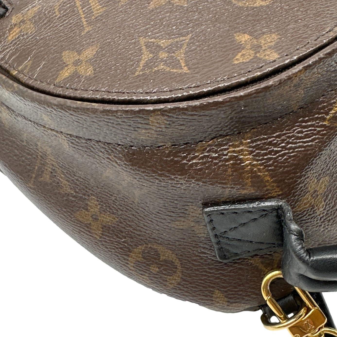 LOUIS VUITTON Palm Spring Mini Monogram Canvas Backpack Brown