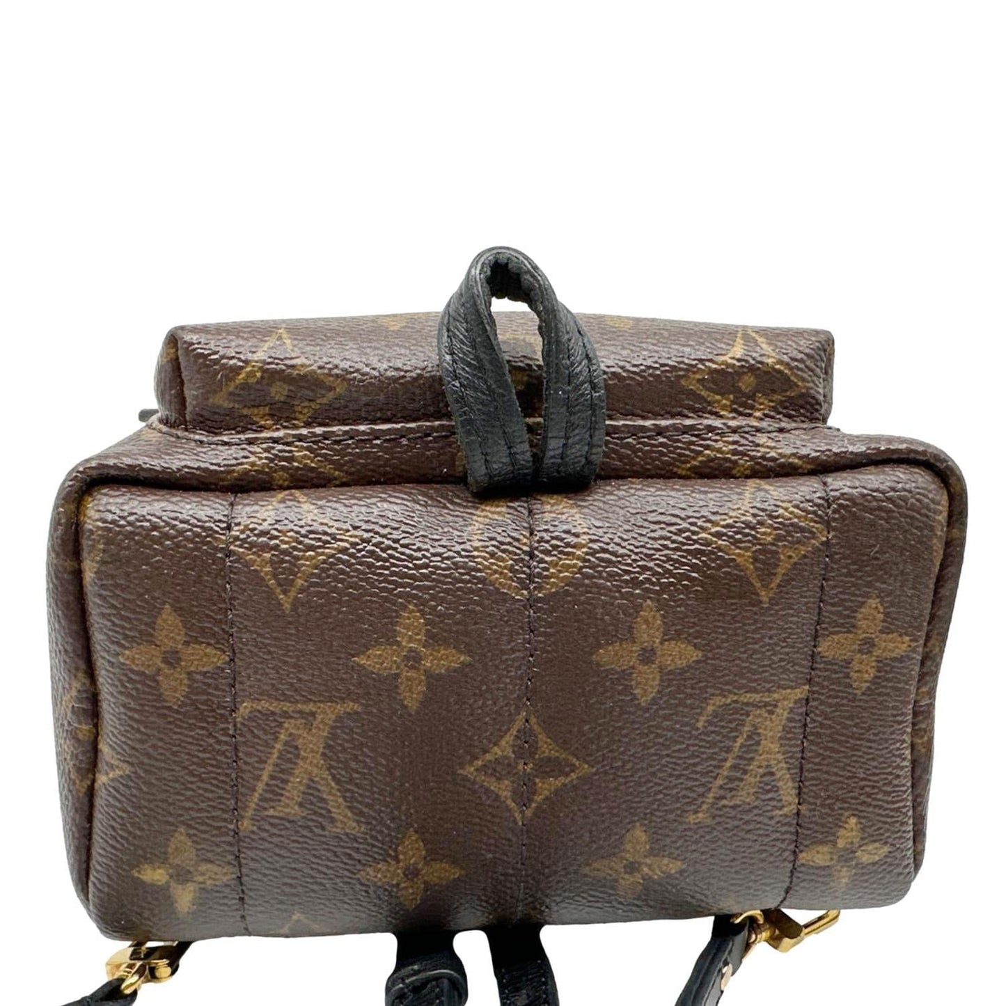 LOUIS VUITTON Palm Spring Mini Monogram Canvas Backpack Brown