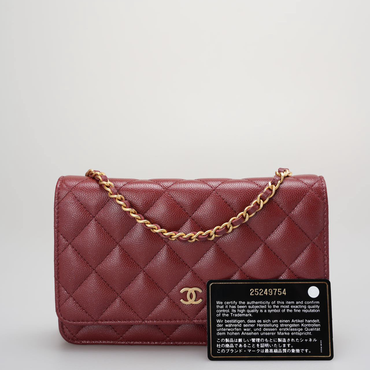 Chanel Wallet On Chain Crossbody Bag - Ewore Bags