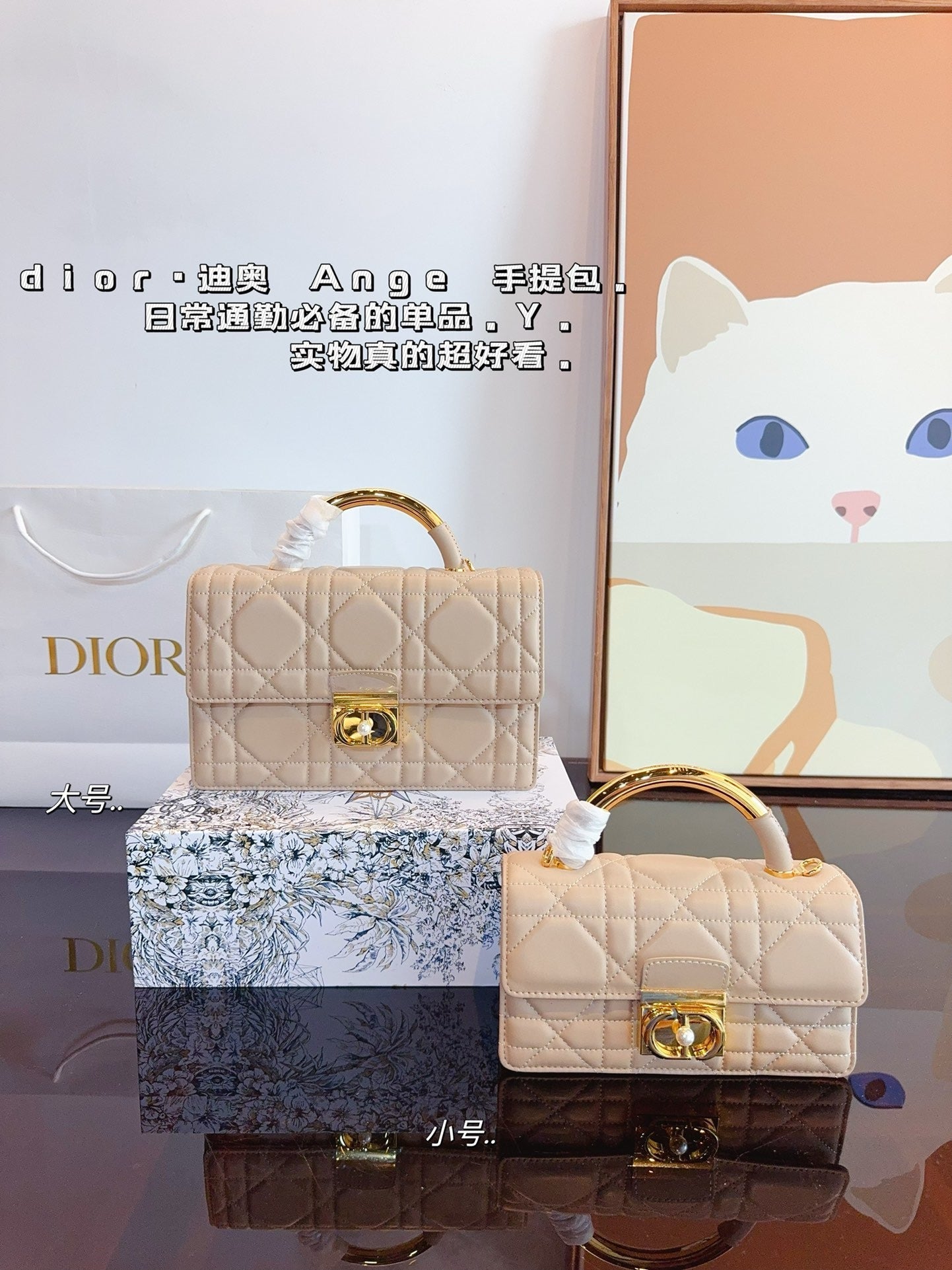Dior Chain Leather Crossbody
