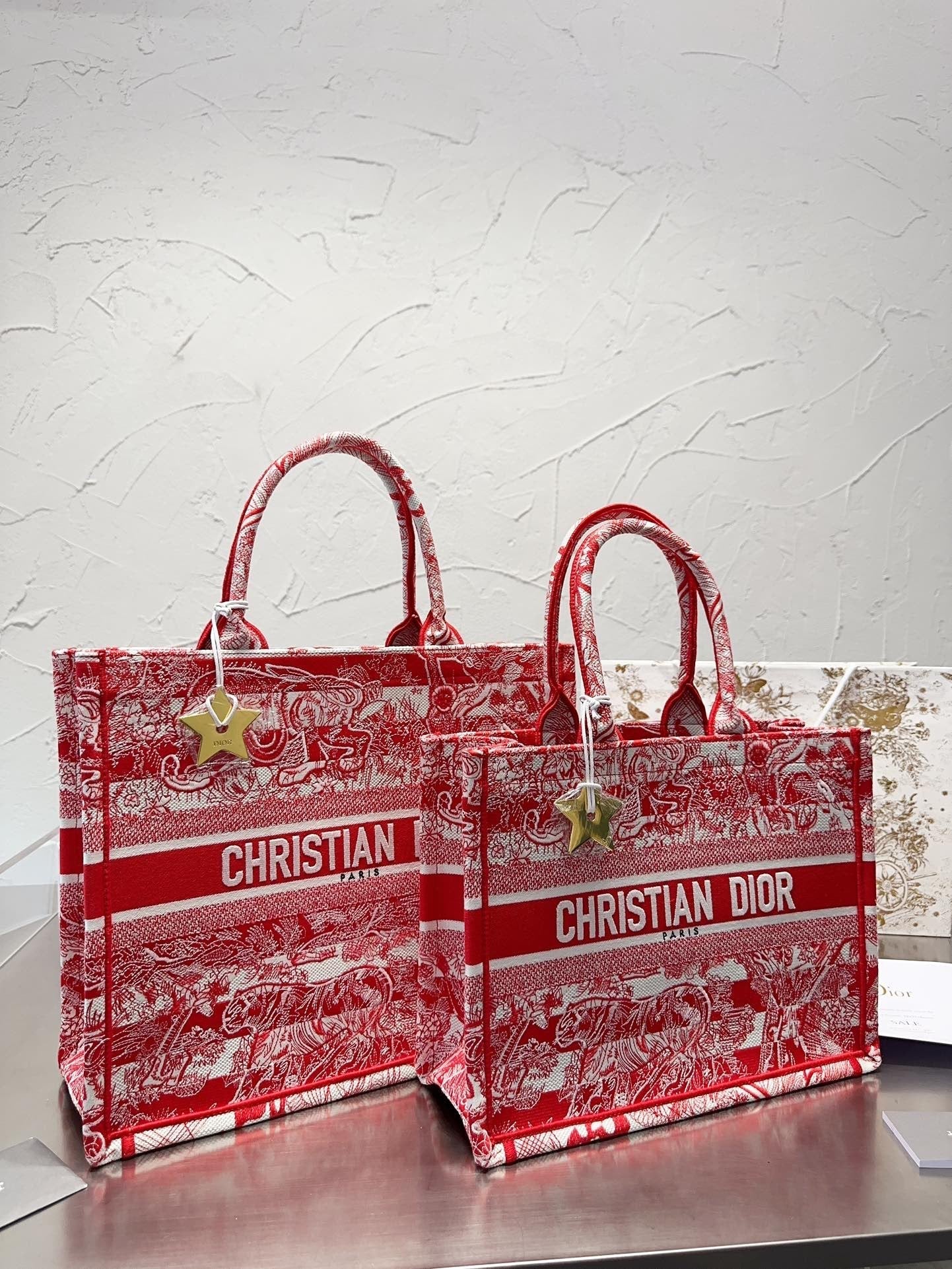 Dior Book Tote Tote