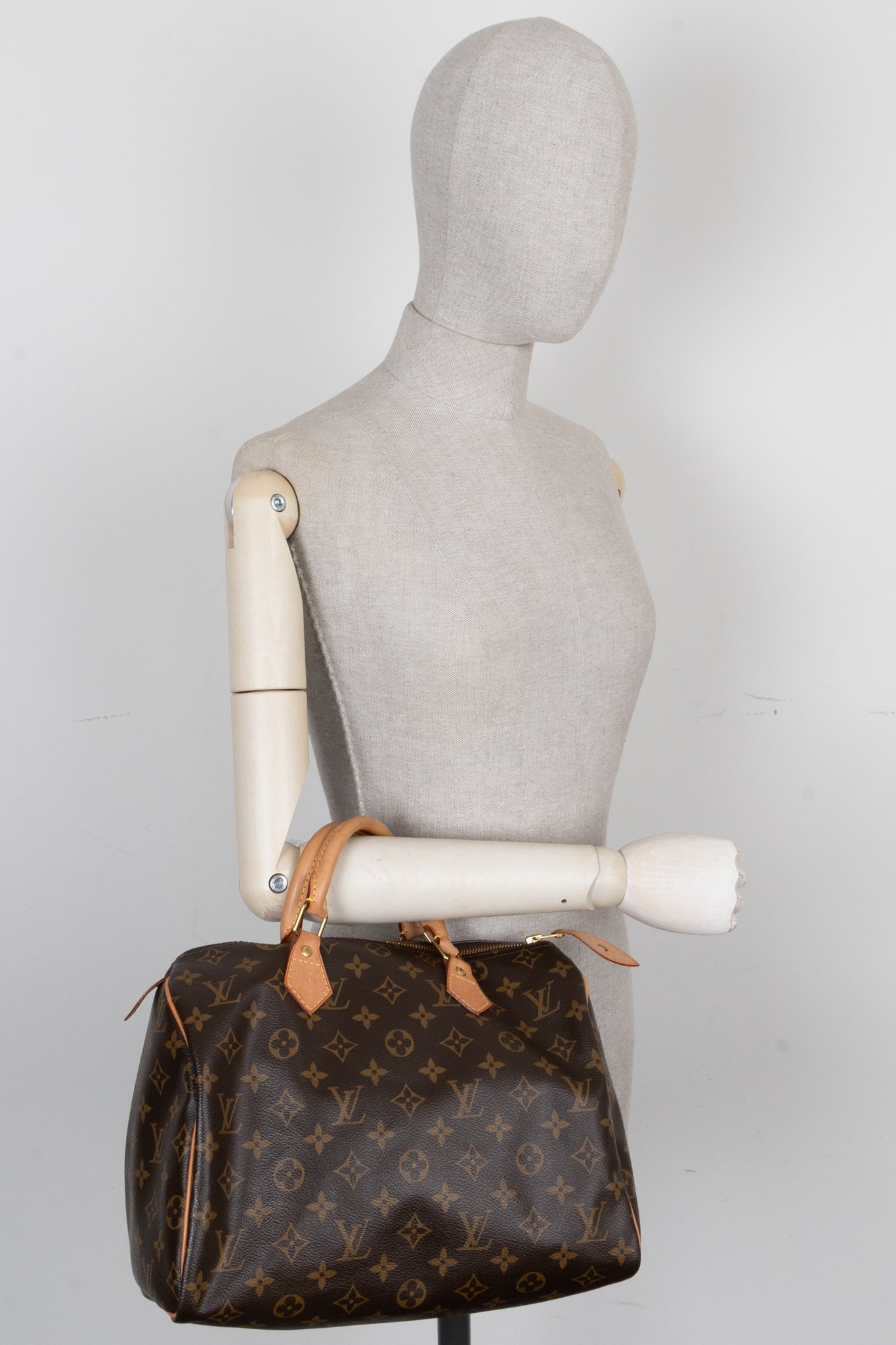 LOUIS VUITTON Speedy 30 Hand Bag MNG Canvas