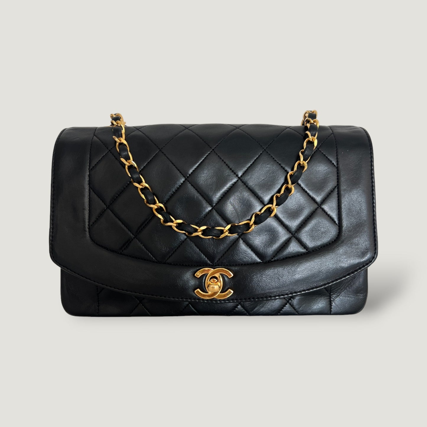 Chanel Diana Handbag Bag - Ewore Bags