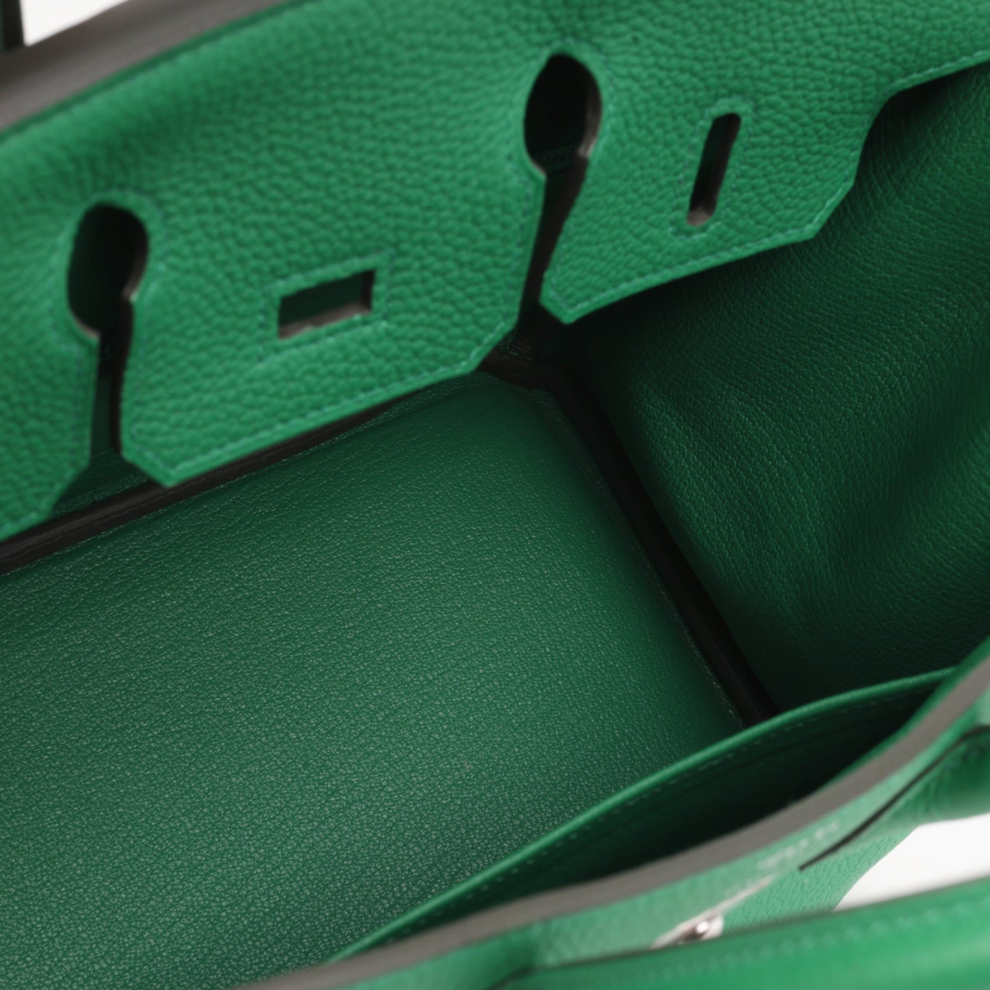 Hermès Birkin 25 - Vert Vertigo Togo | Palladium Hardware