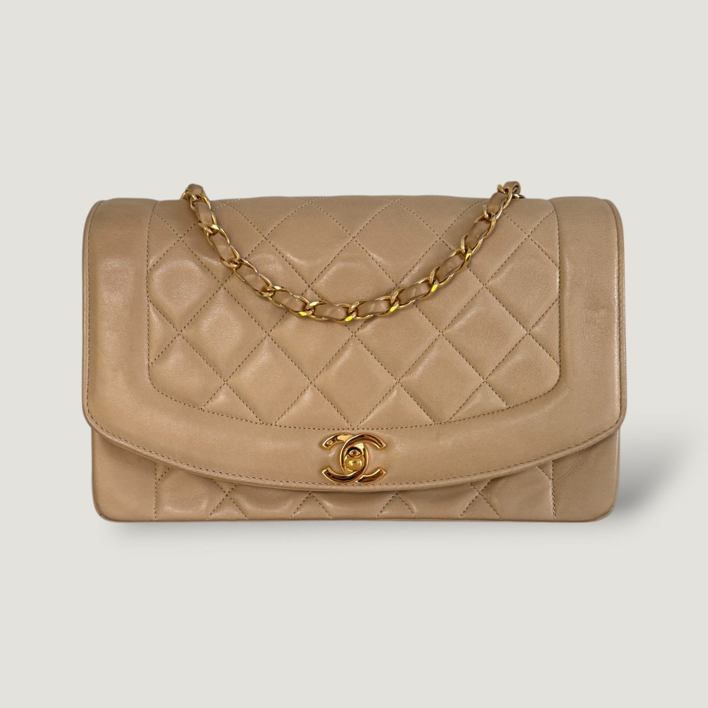 Chanel Diana Handbag Bag - Ewore Bags