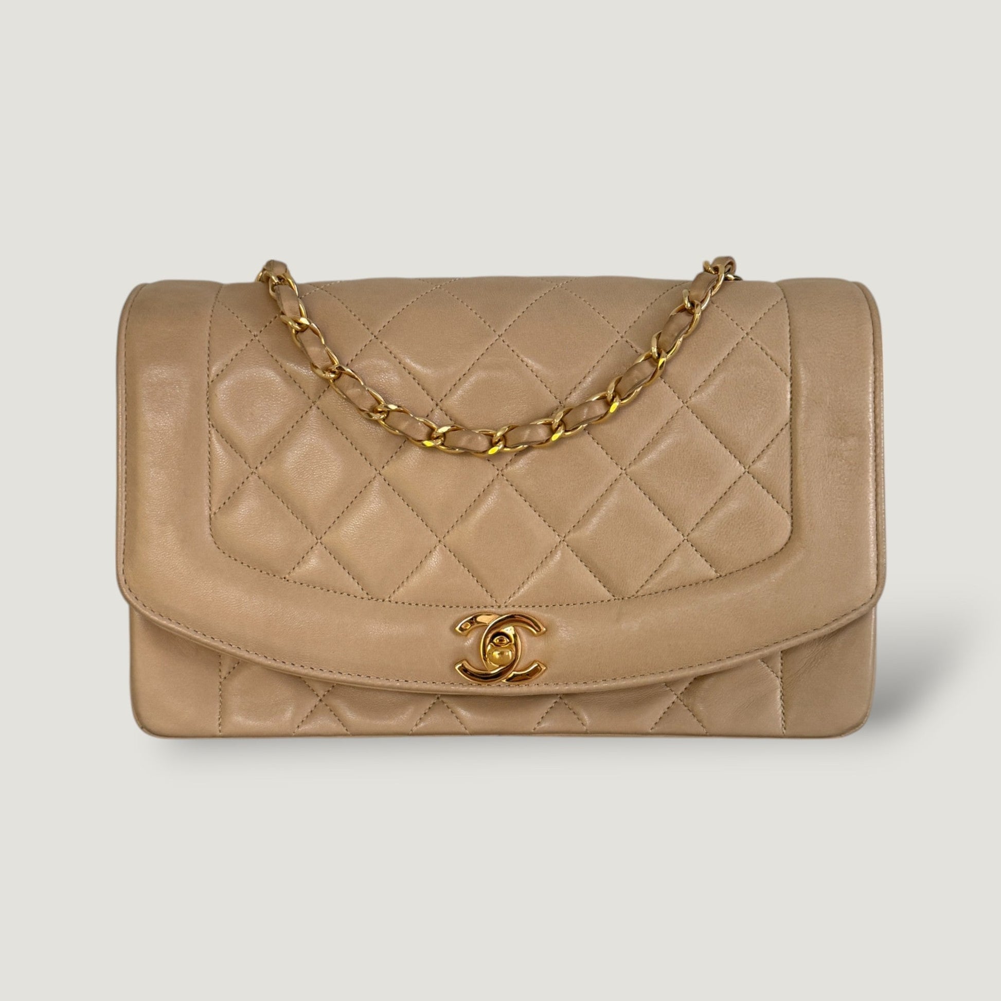 Chanel Diana Handbag Bag - Ewore Bags