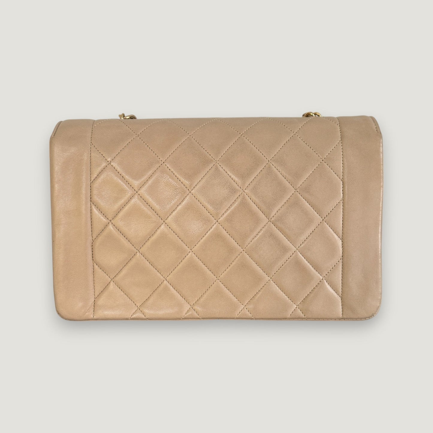 Chanel Diana Handbag Bag - Ewore Bags